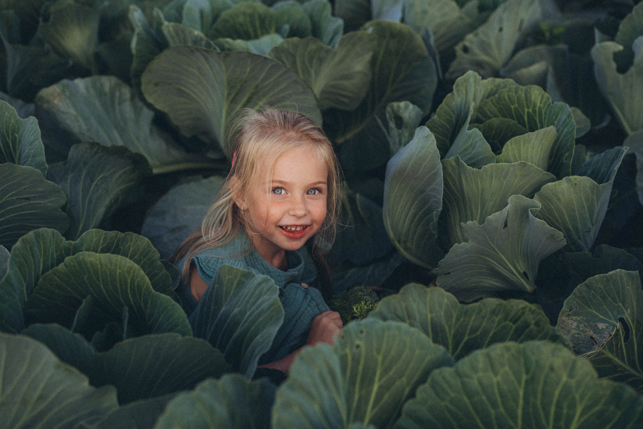 Капуста. Фотограф СПб. Фотопрогулки. Меркулова Юлия