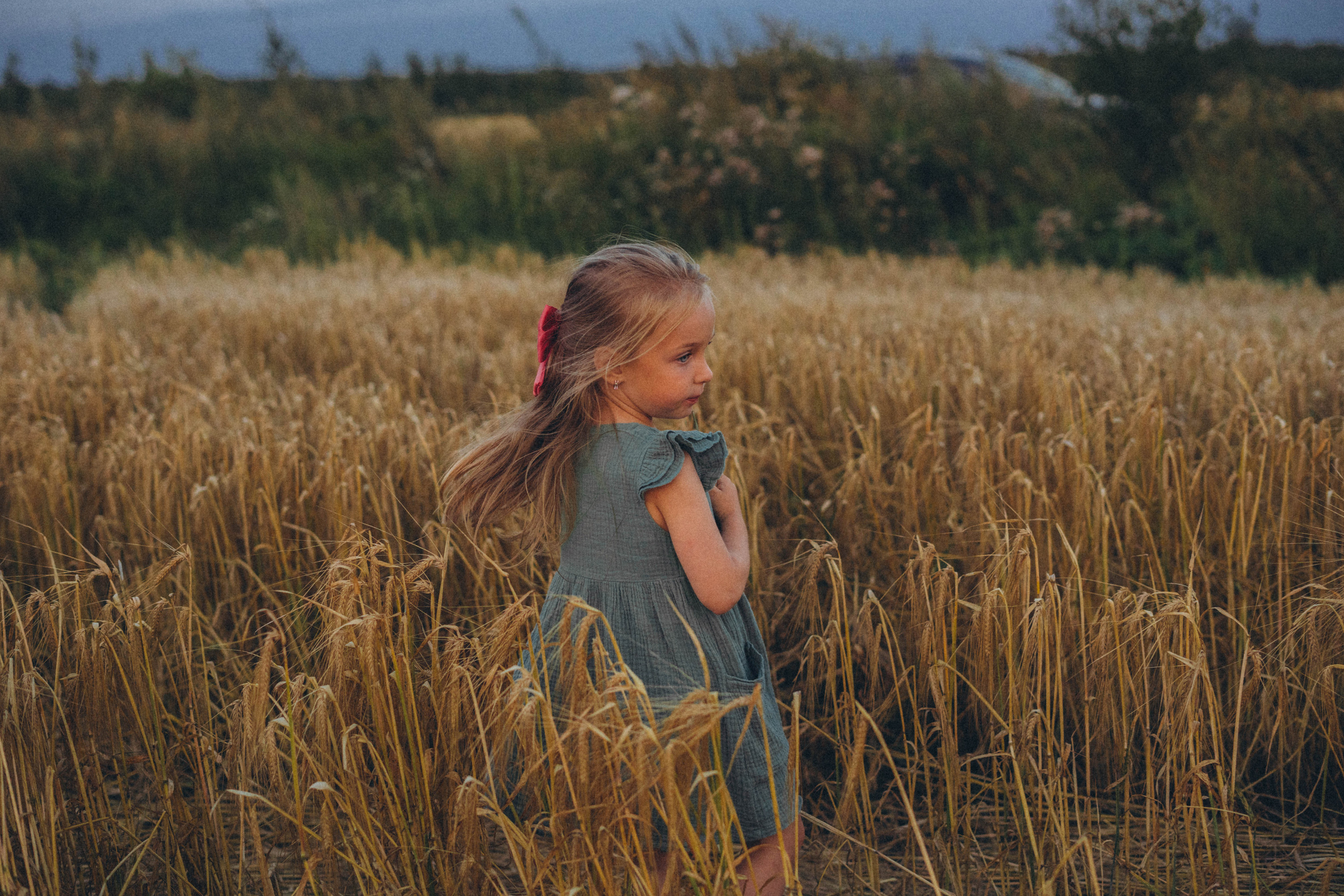 Пшеница. Фотограф СПб. Фотопрогулки. Меркулова Юлия