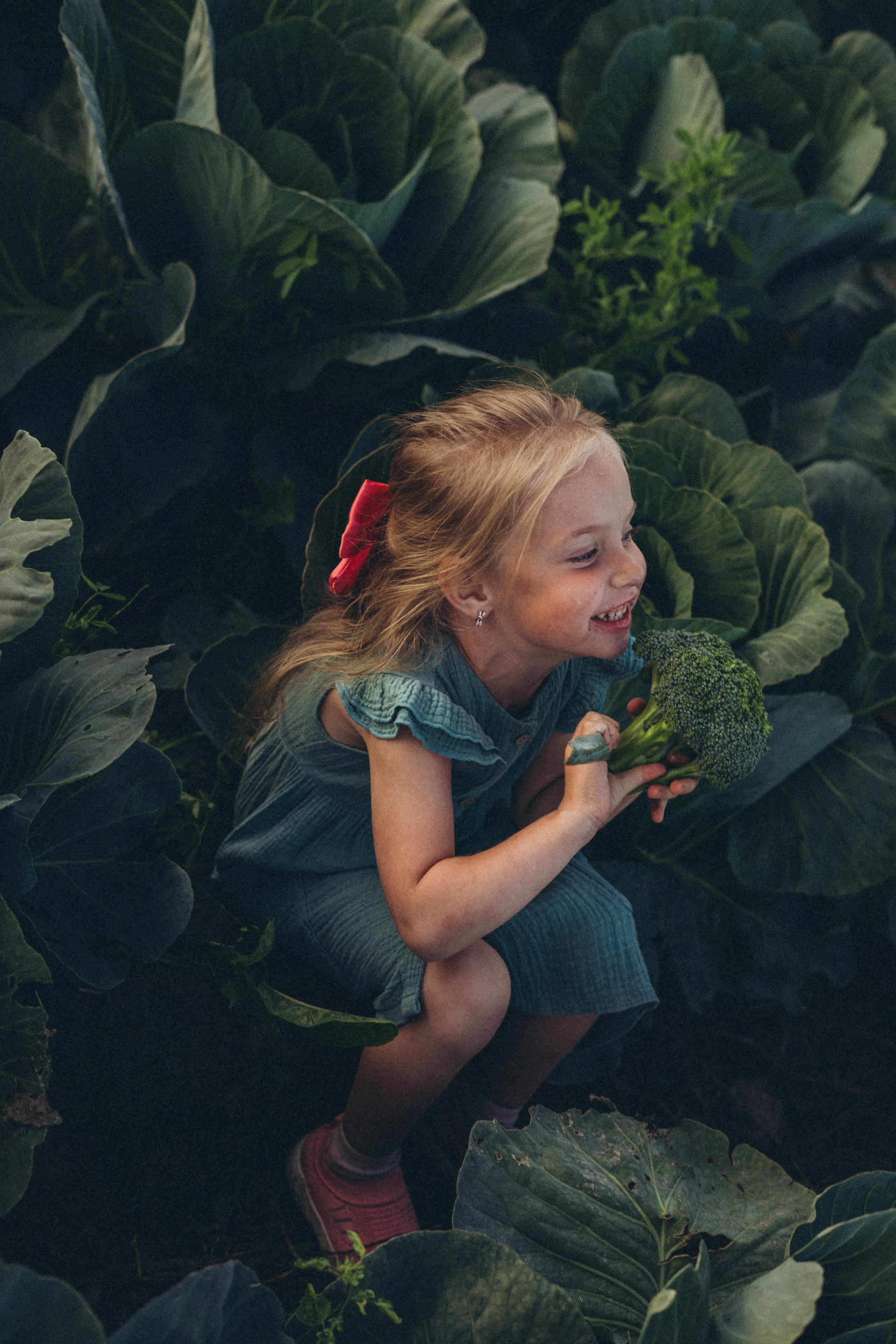 Капуста. Фотограф СПб. Фотопрогулки. Меркулова Юлия