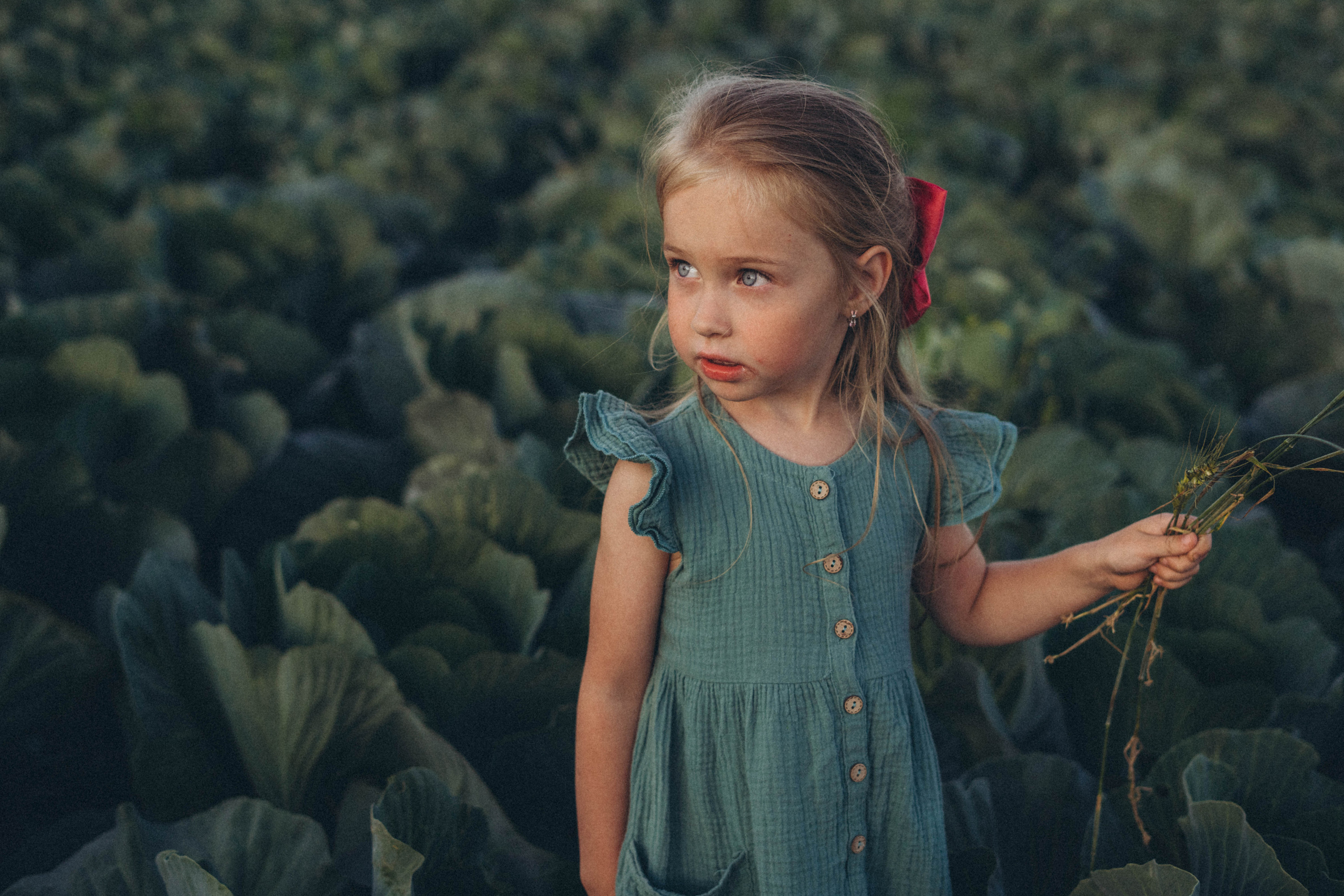 Капуста. Фотограф СПб. Фотопрогулки. Меркулова Юлия