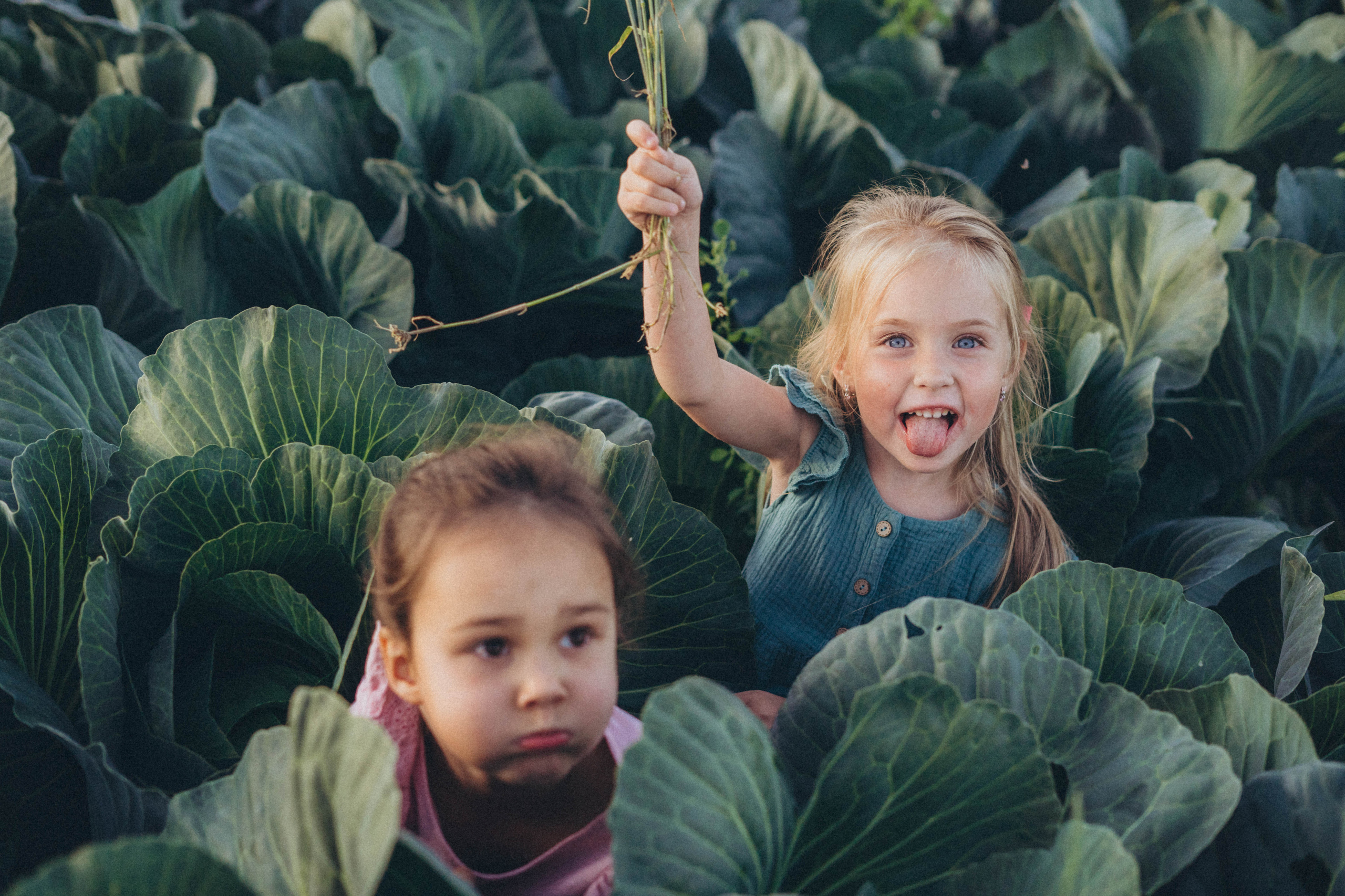 Капуста. Фотограф СПб. Фотопрогулки. Меркулова Юлия