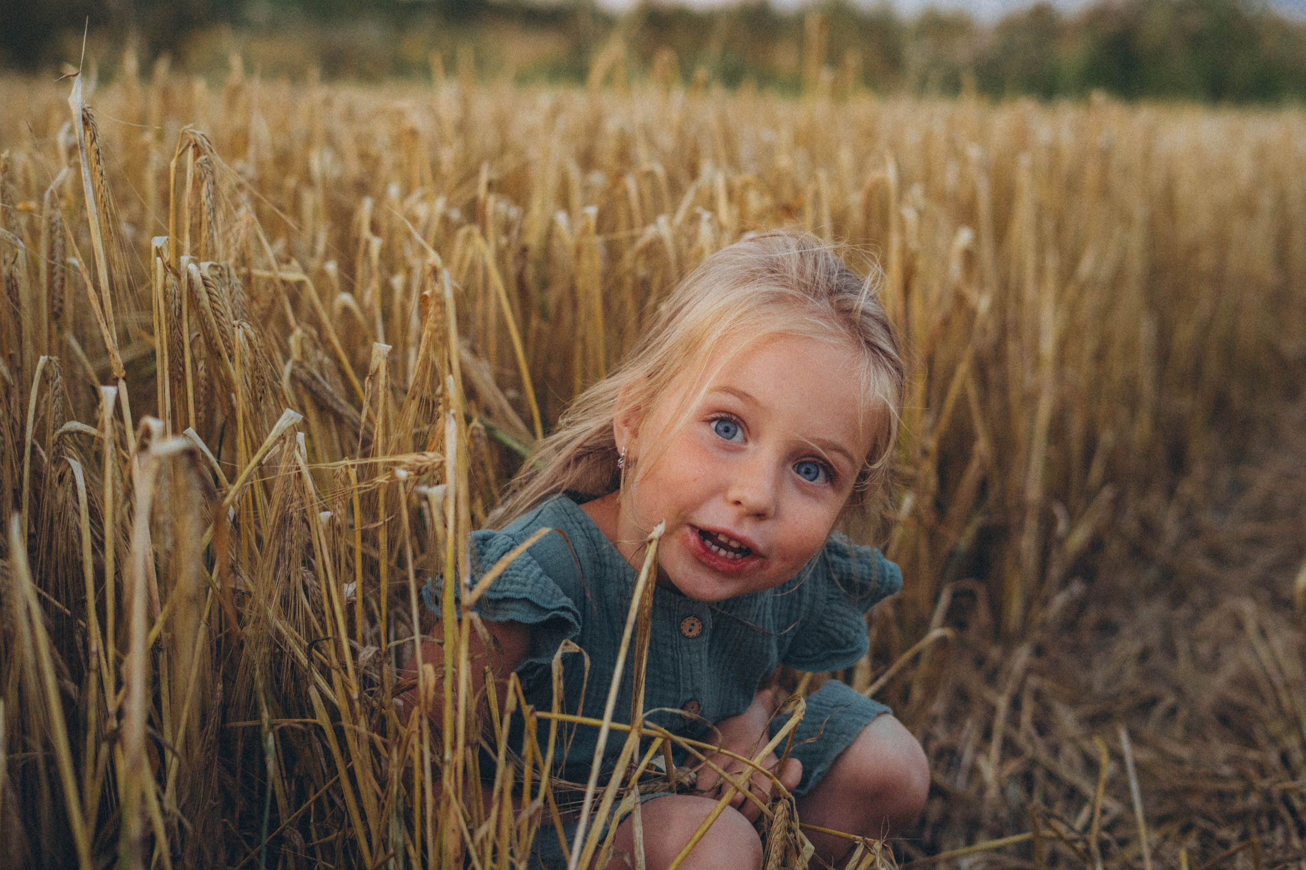 Пшеница. Фотограф СПб. Фотопрогулки. Меркулова Юлия