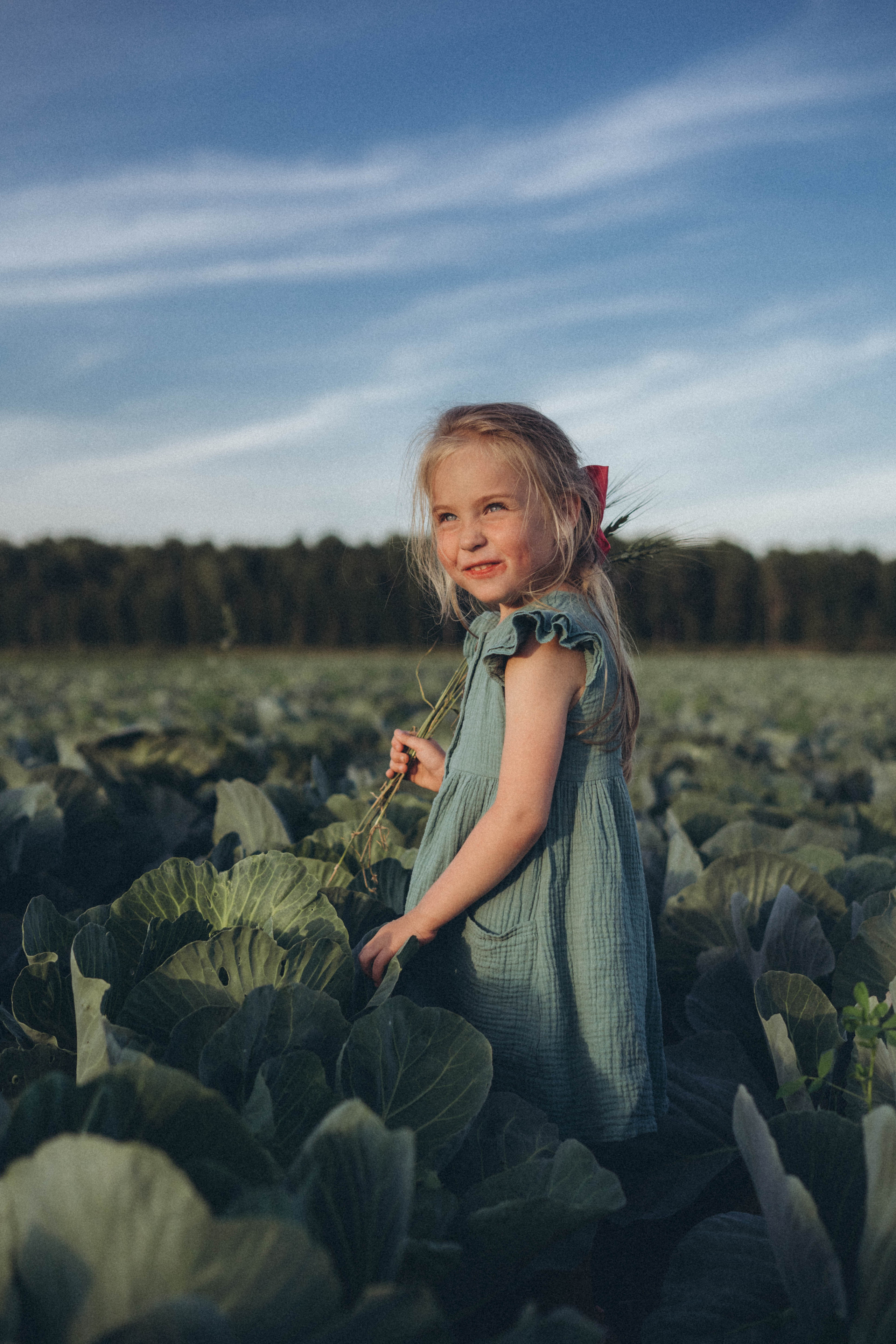 Капуста. Фотограф СПб. Фотопрогулки. Меркулова Юлия