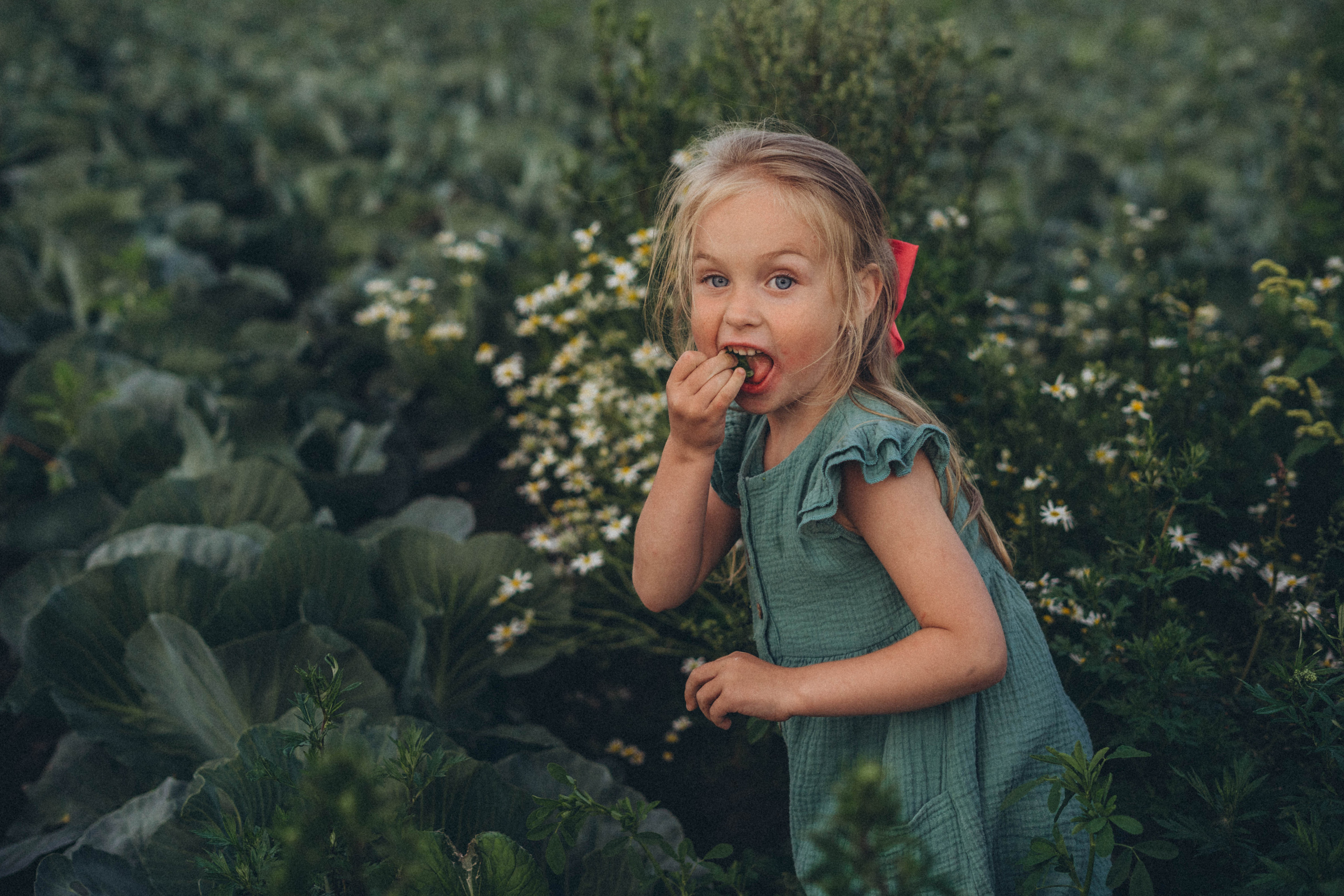 Капуста. Фотограф СПб. Фотопрогулки. Меркулова Юлия