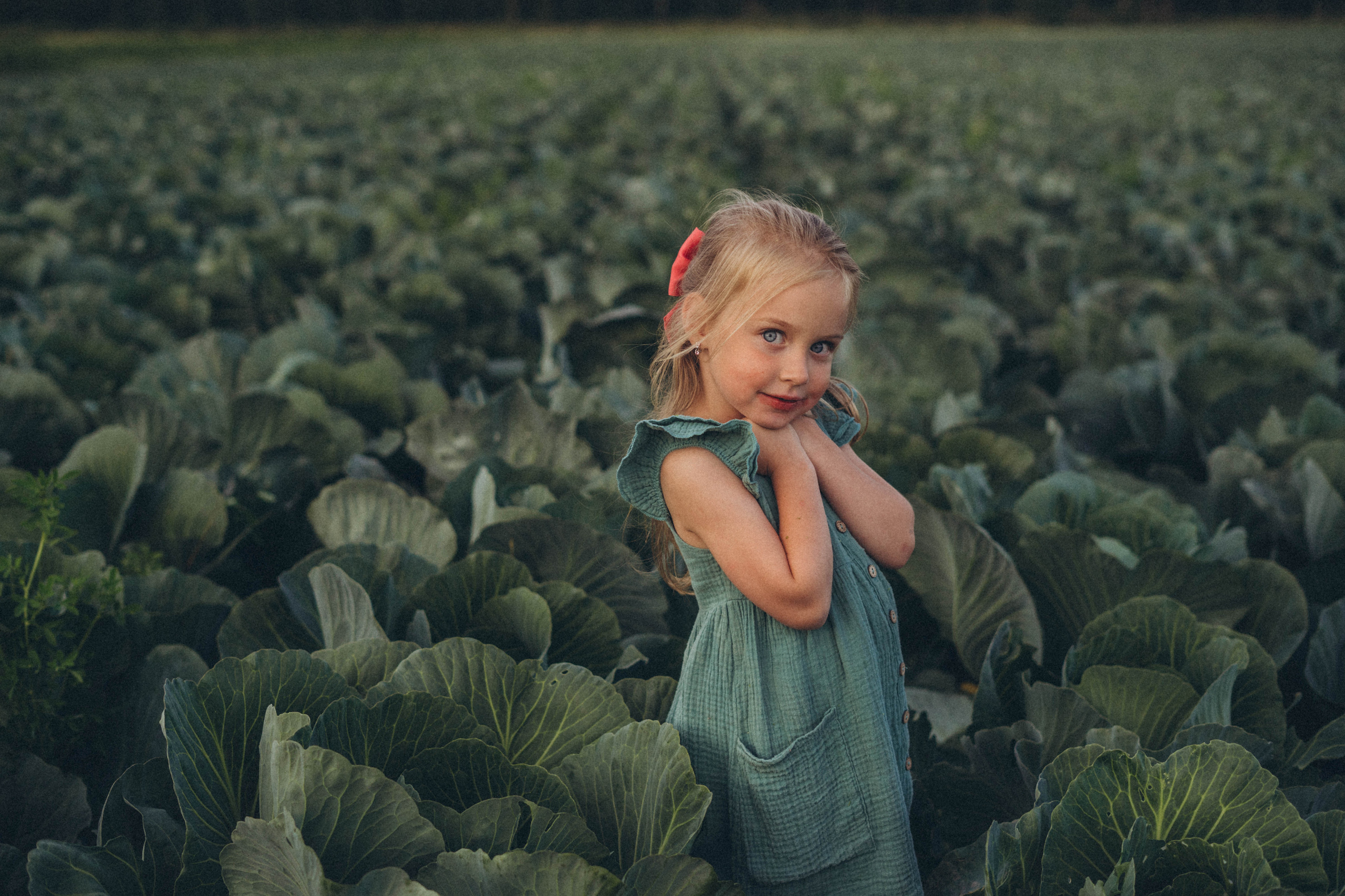 Капуста. Фотограф СПб. Фотопрогулки. Меркулова Юлия