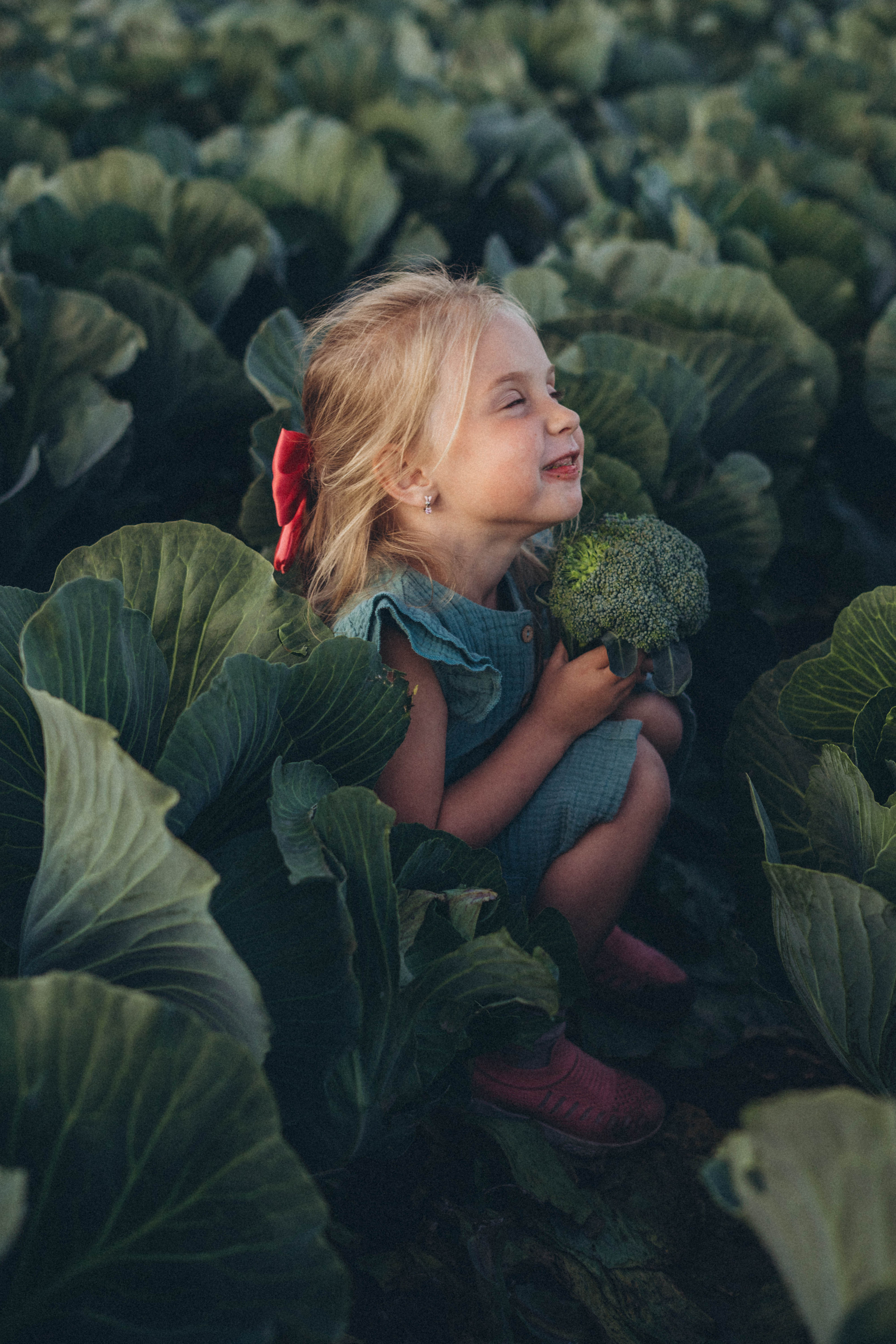 Капуста. Фотограф СПб. Фотопрогулки. Меркулова Юлия
