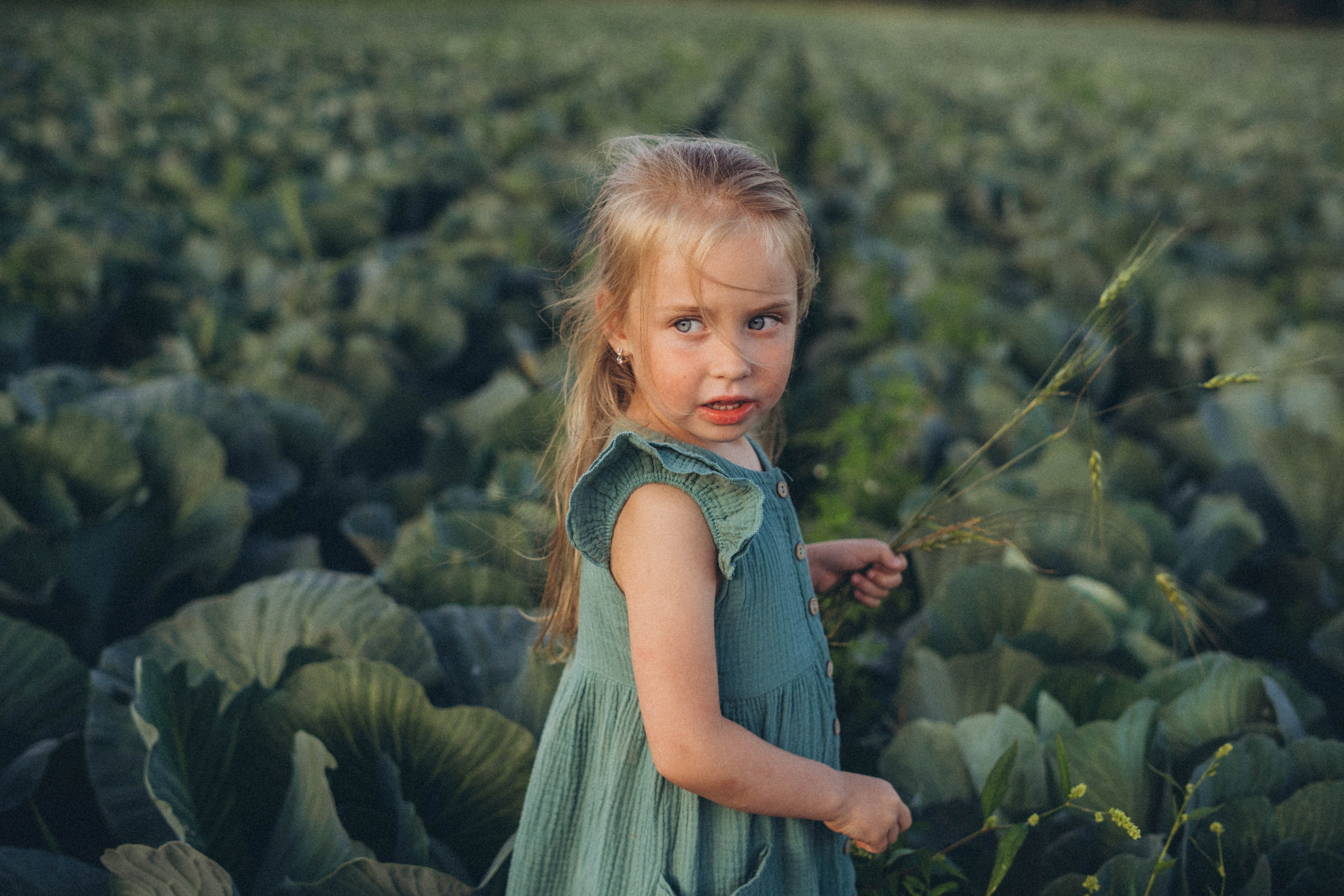 Капуста. Фотограф СПб. Фотопрогулки. Меркулова Юлия