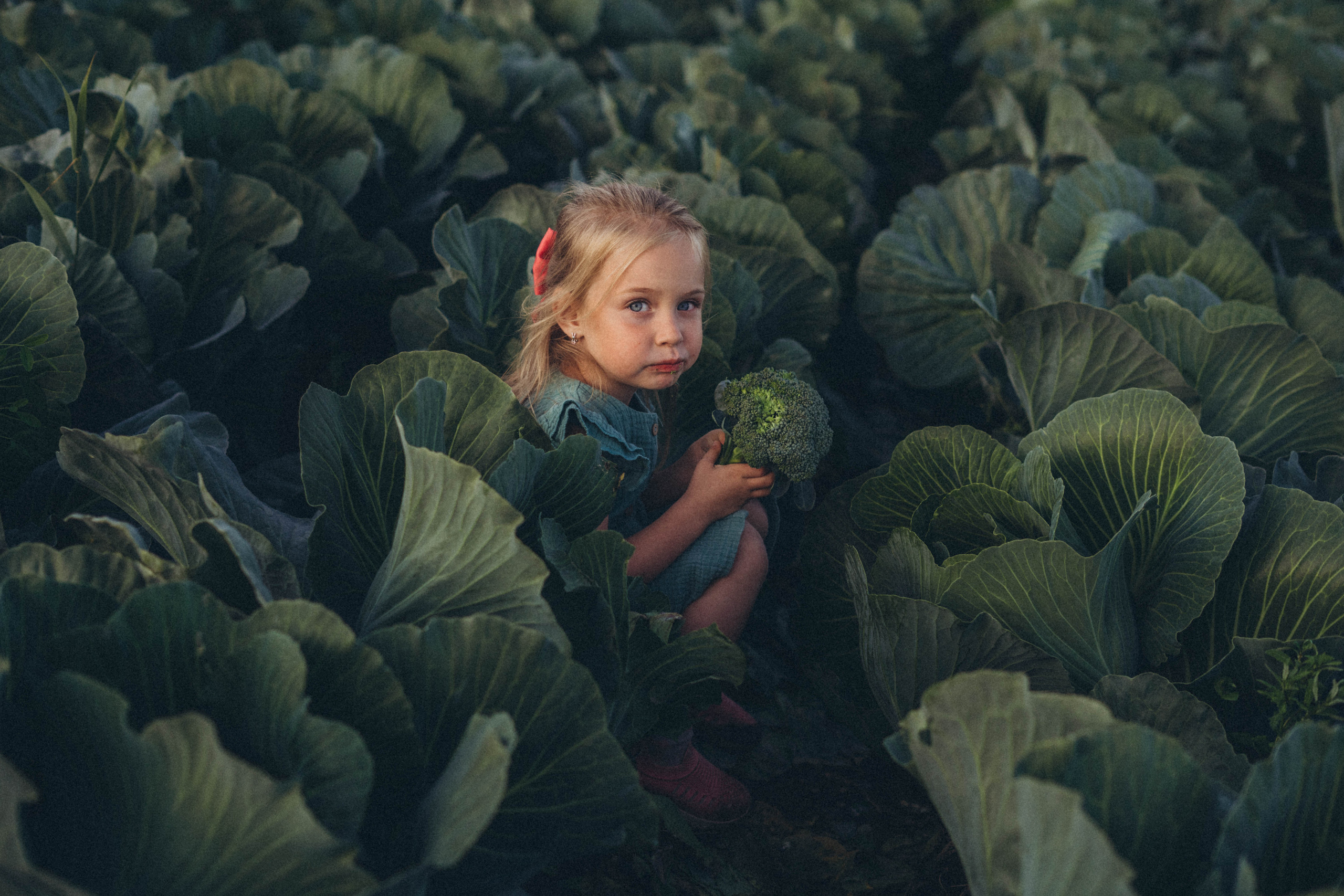 Капуста. Фотограф СПб. Фотопрогулки. Меркулова Юлия