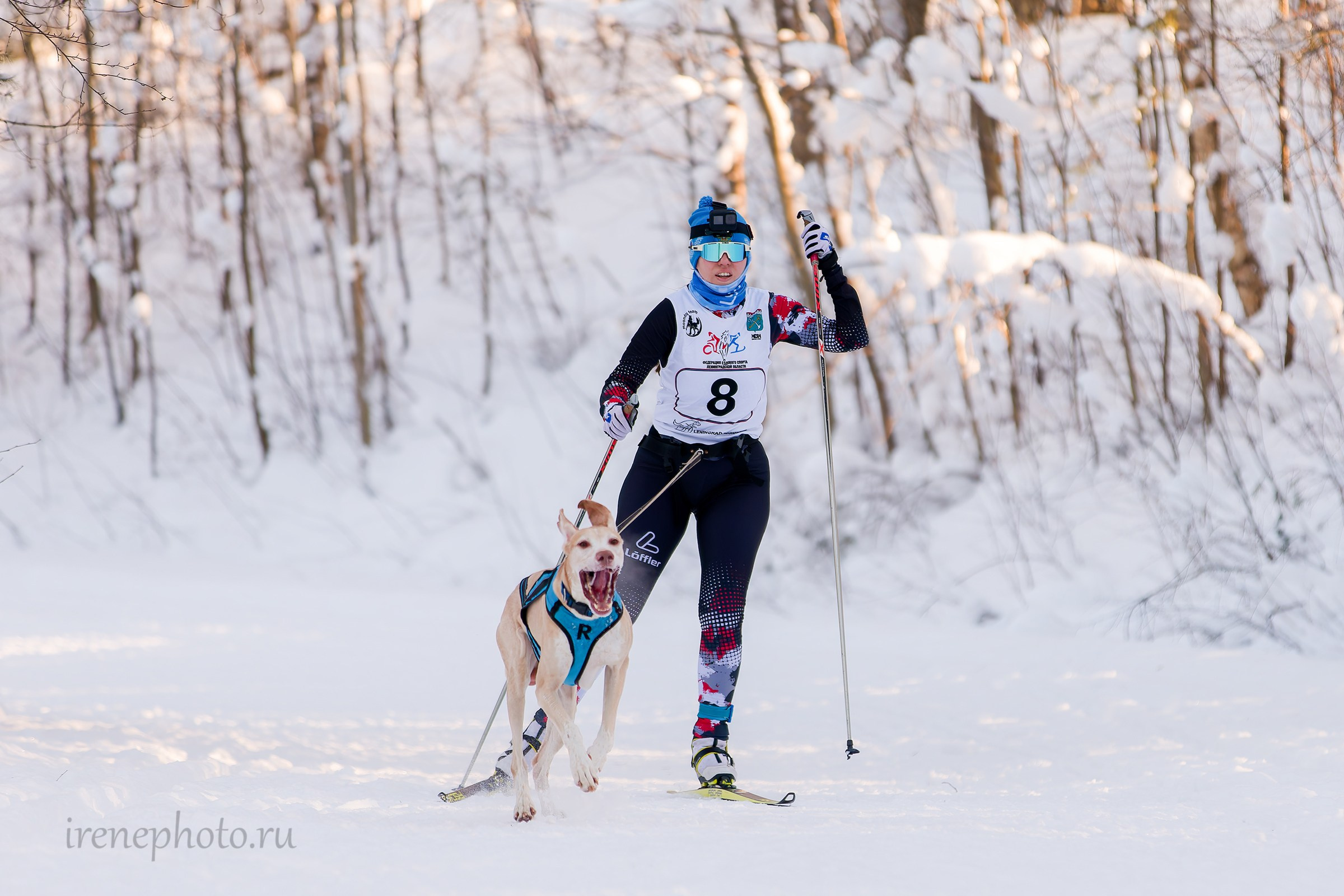 Чемпионат и Первенство Ленобласти — зима 2026. Irenephoto.ru