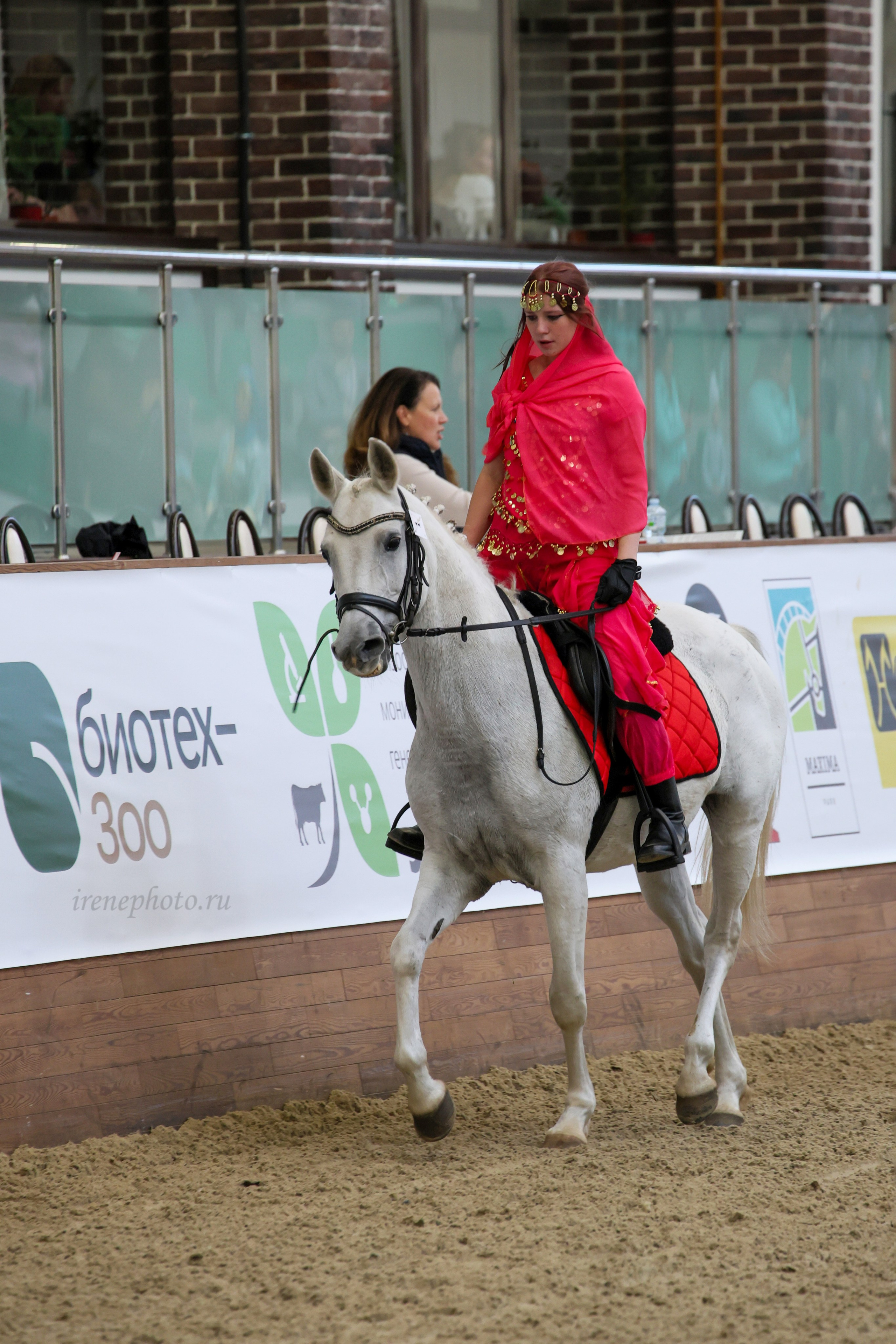 Конная Россия 2024. Irenephoto.ru