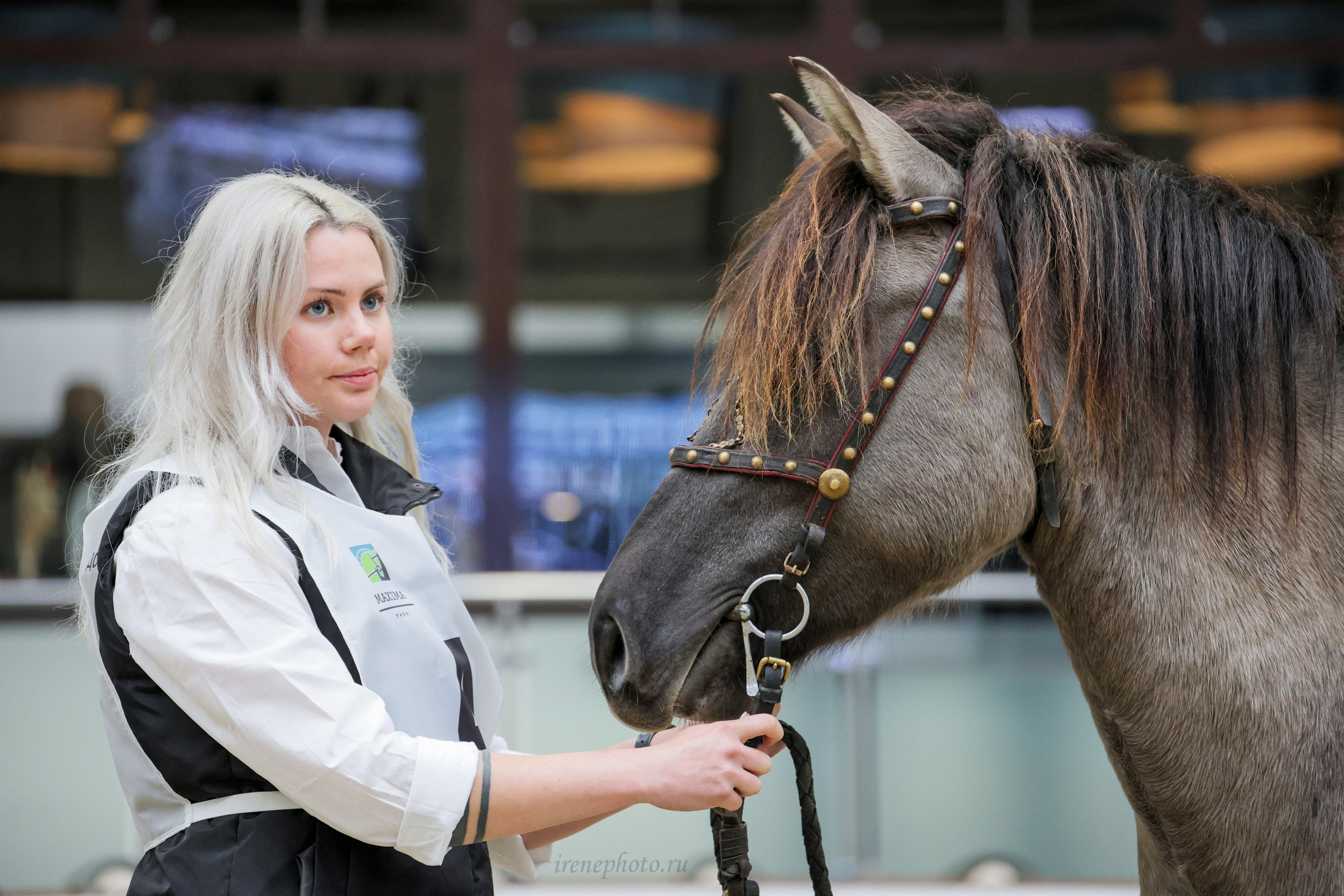 Конная Россия 2024. Irenephoto.ru