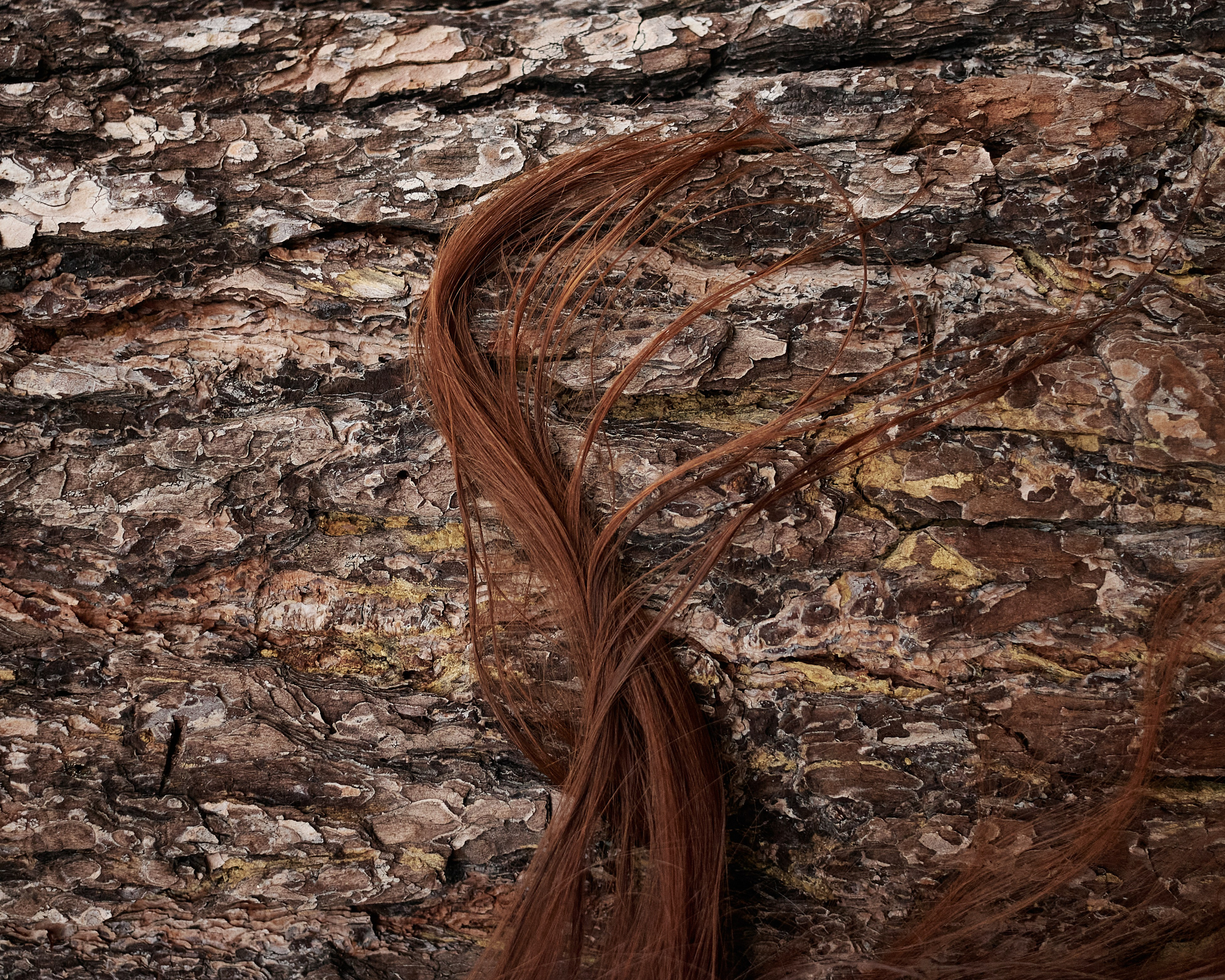 Полина и осенний лес. Фотограф из Первоуральска Роман Заиченко