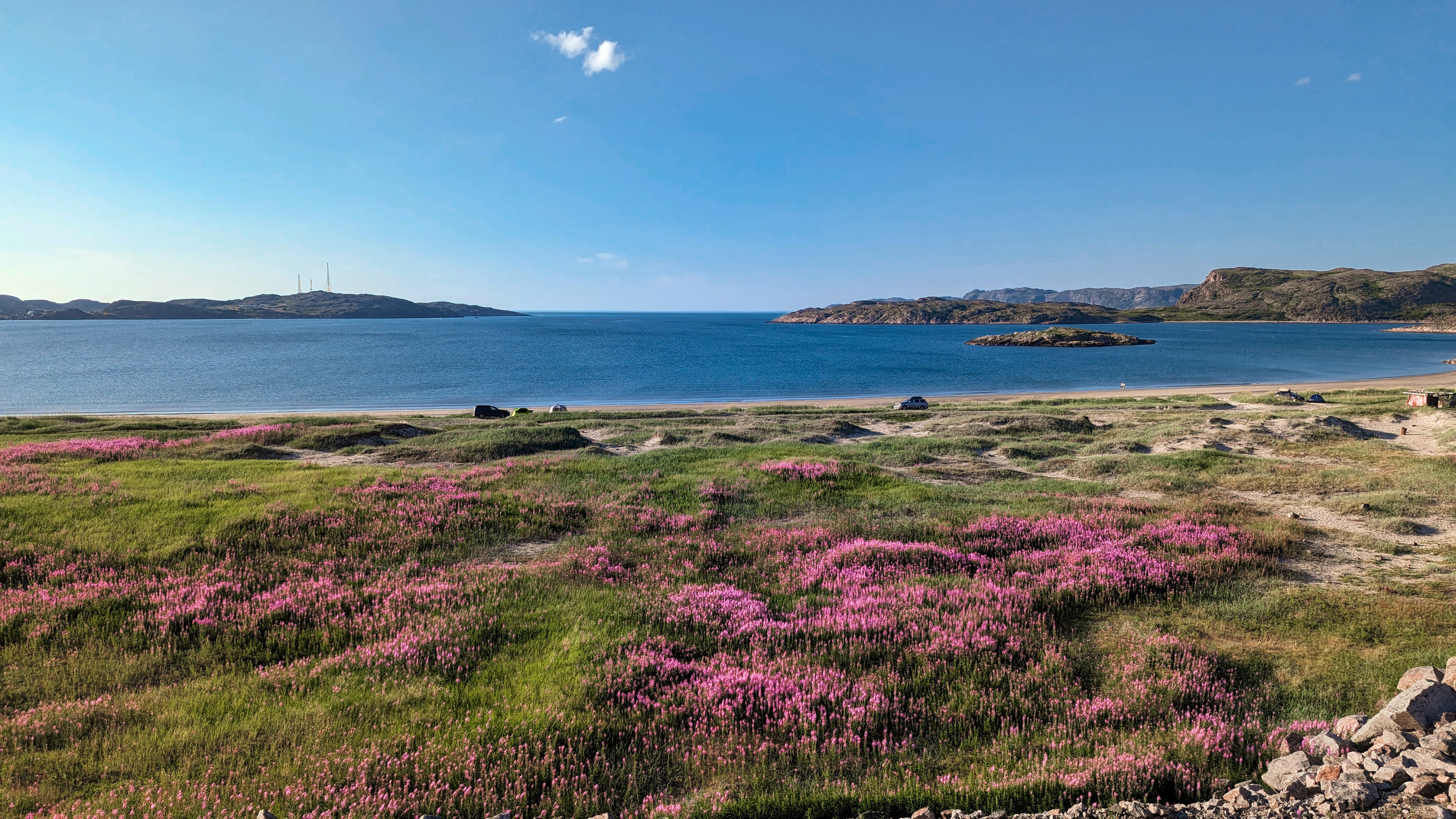 Закат. Териберка. Иван чай.