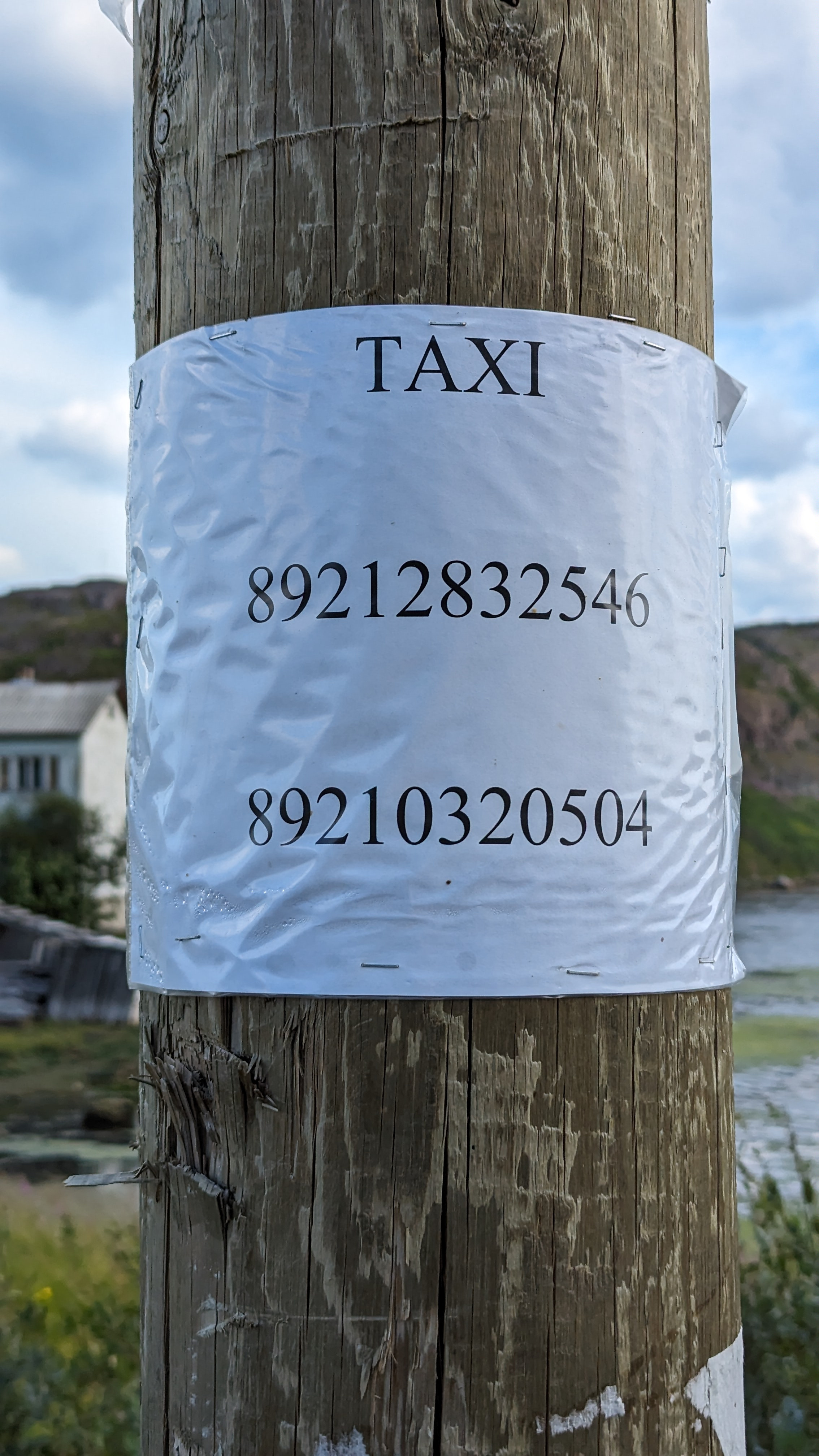 Такси Териберка