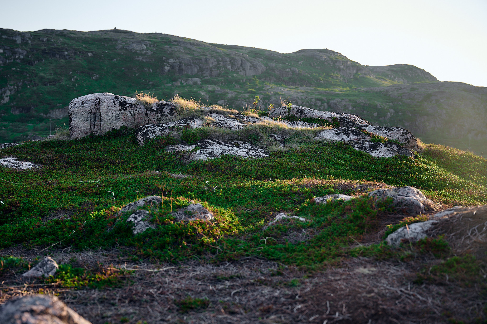Териберка. Закат. Море. Берег.
