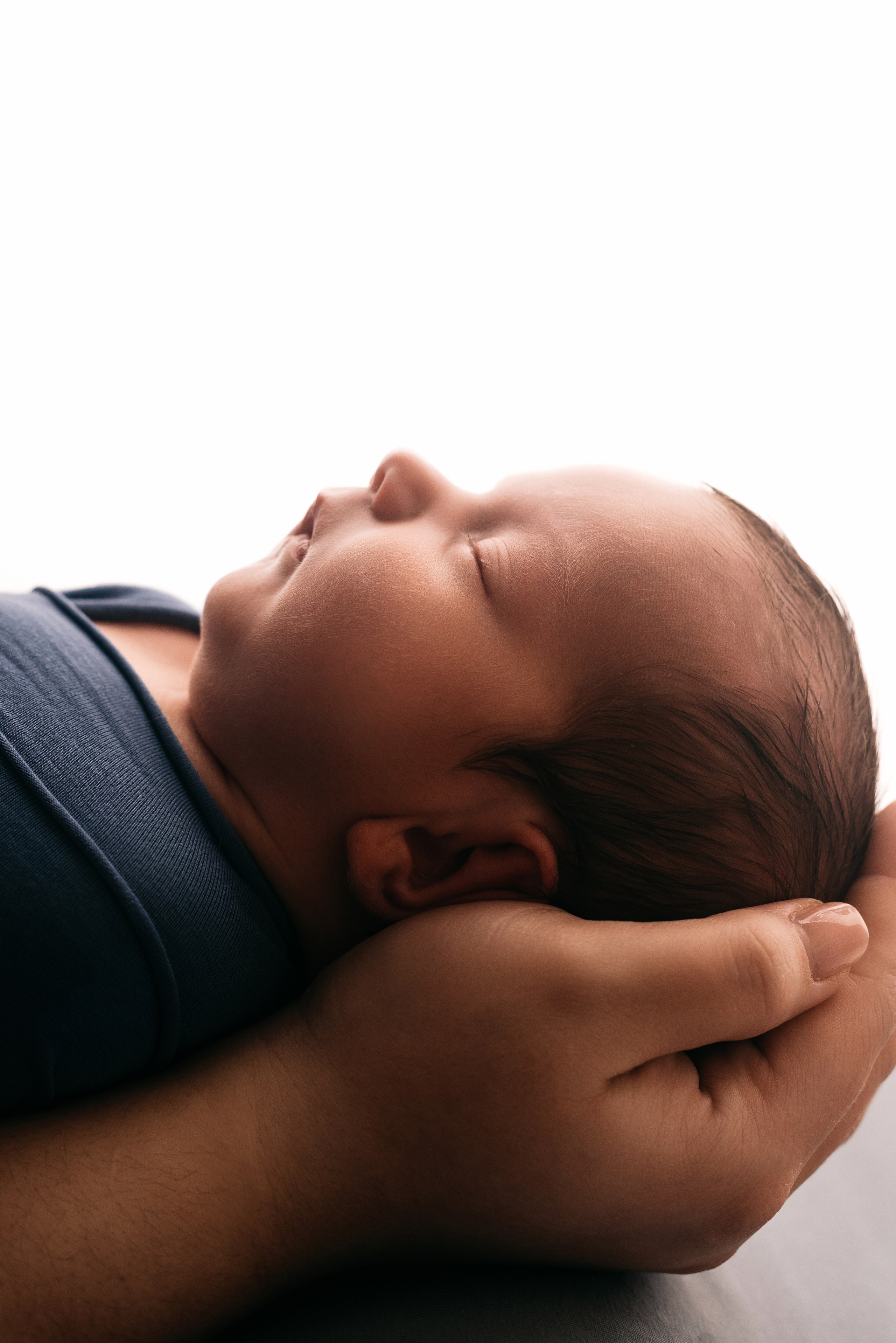 Лев. Фотограф новорожденных Белгород