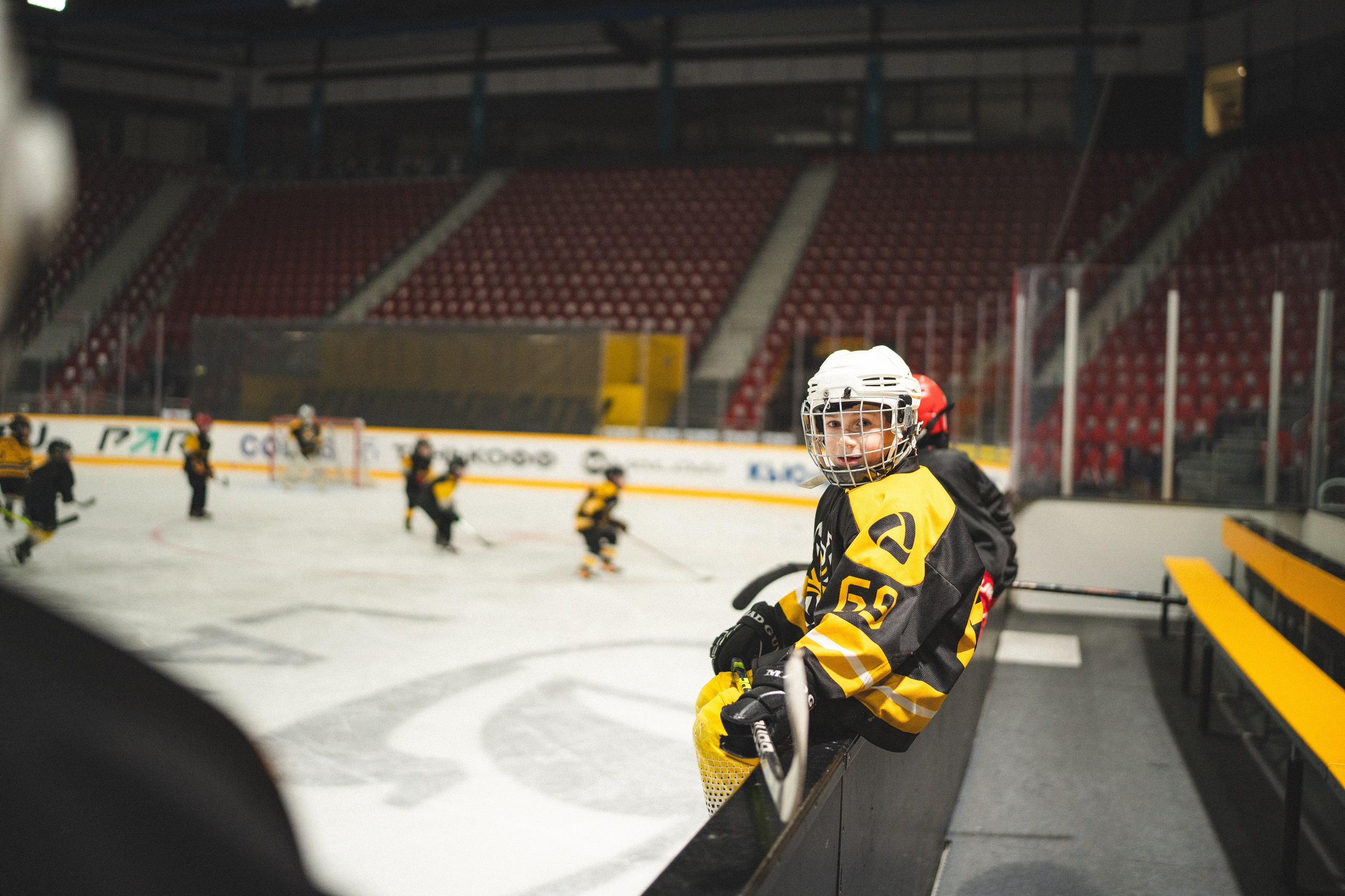 ХК Северсталь (младшая группа). Череповец. Zekons. Фото, видео, нейросети