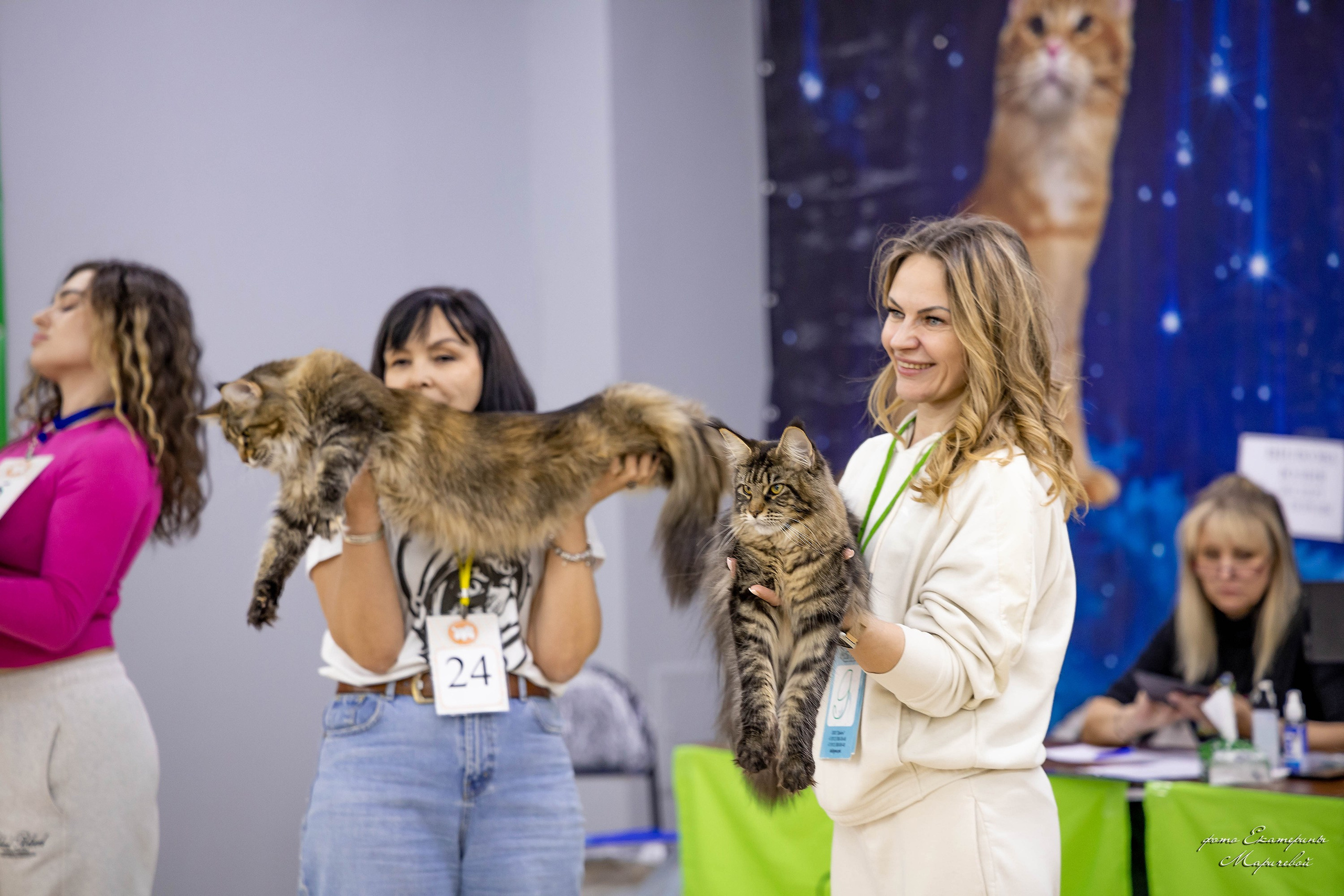 11–12 апреля — Интершоу — «Звездная Галактика Доброго Кота». Работаю со стендом. Фотограф-анималист в Омске Екатерина Маричева