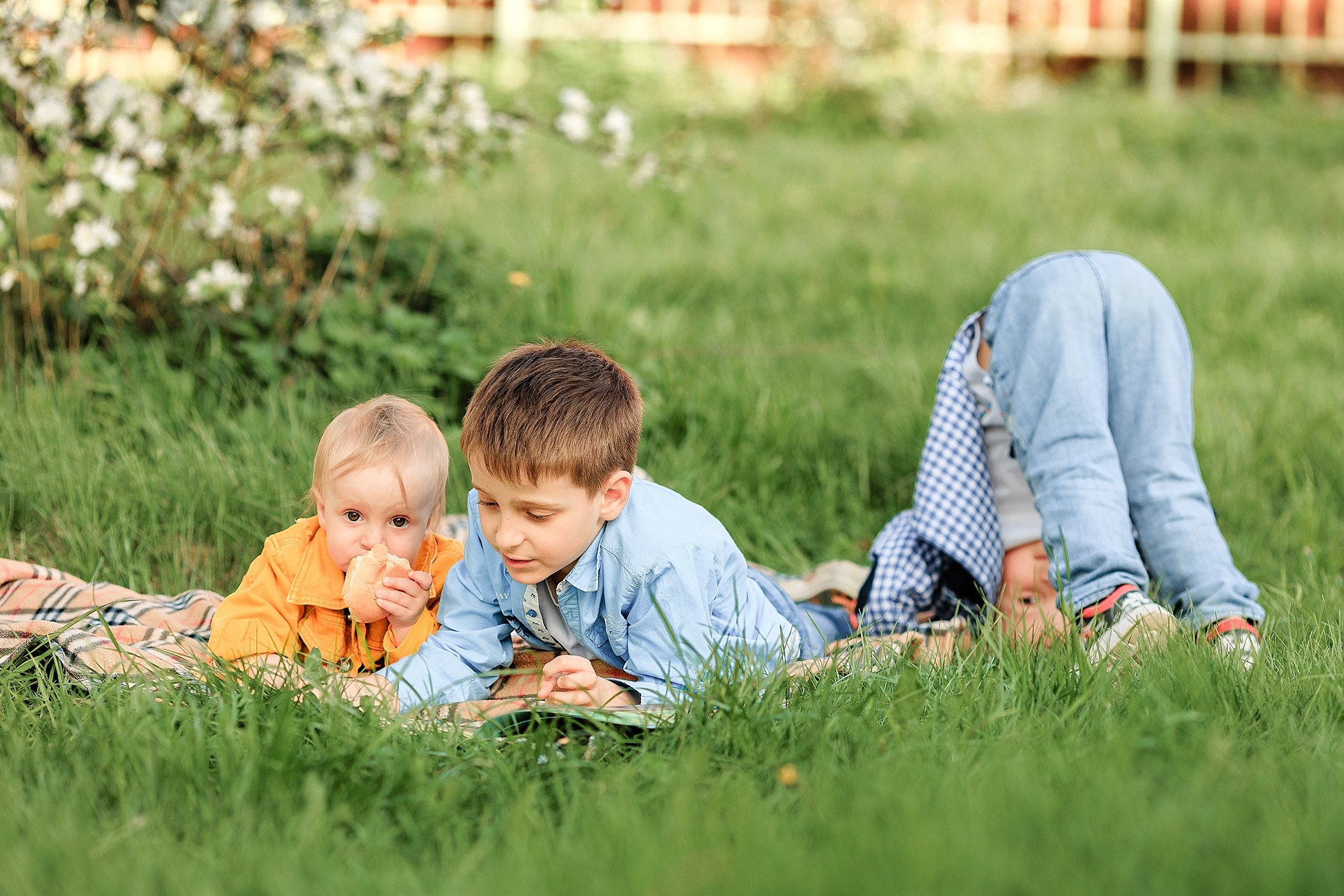 Прогулка в яблоневом саду. Семейный фотограф в Пензе Мария Левина