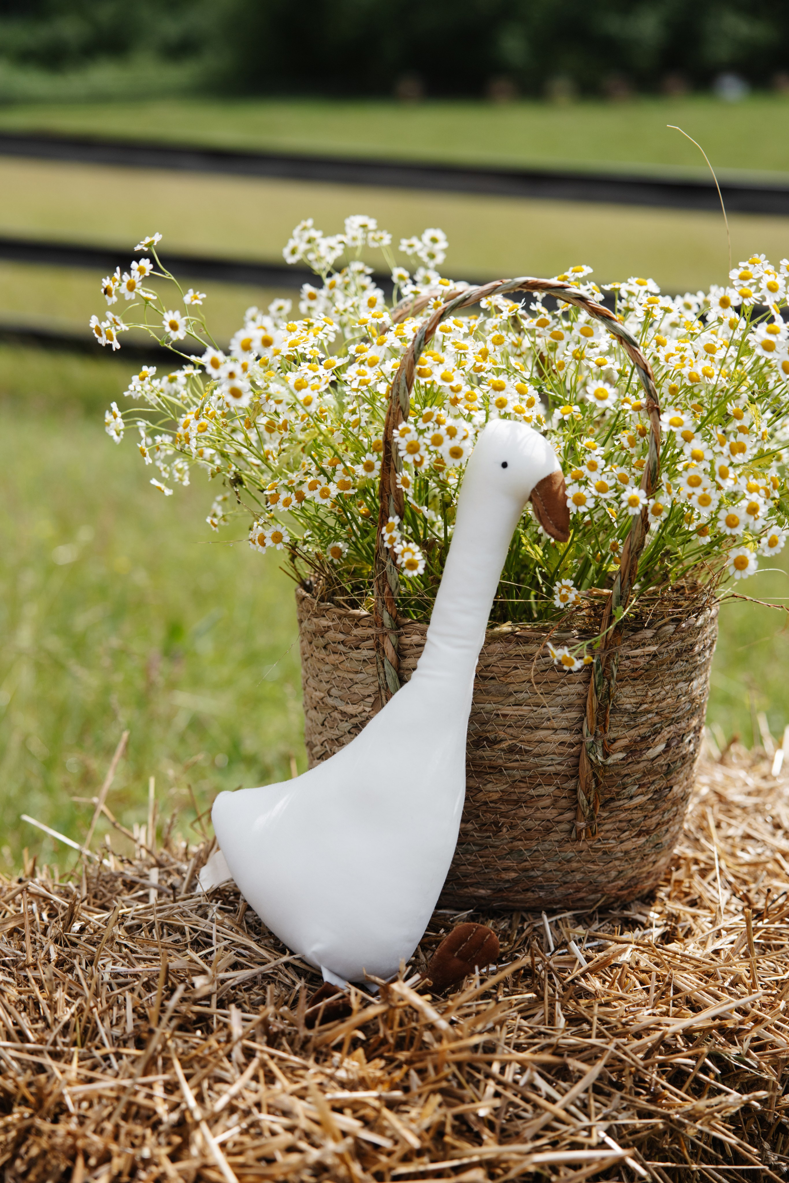 ГЕНДЕР ПАТИ. Фотограф в Красноярске