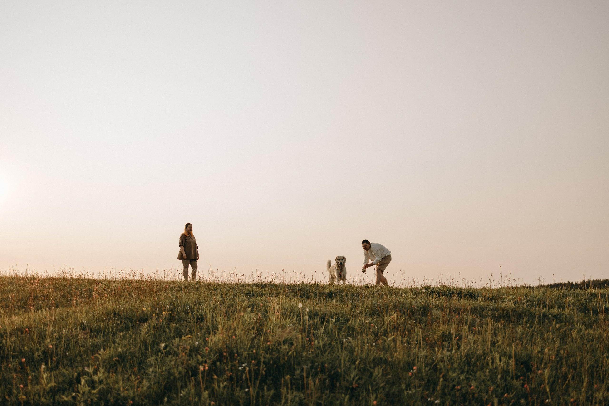 Милка и ребята. Фотограф — Анималист | Санкт-Петербург