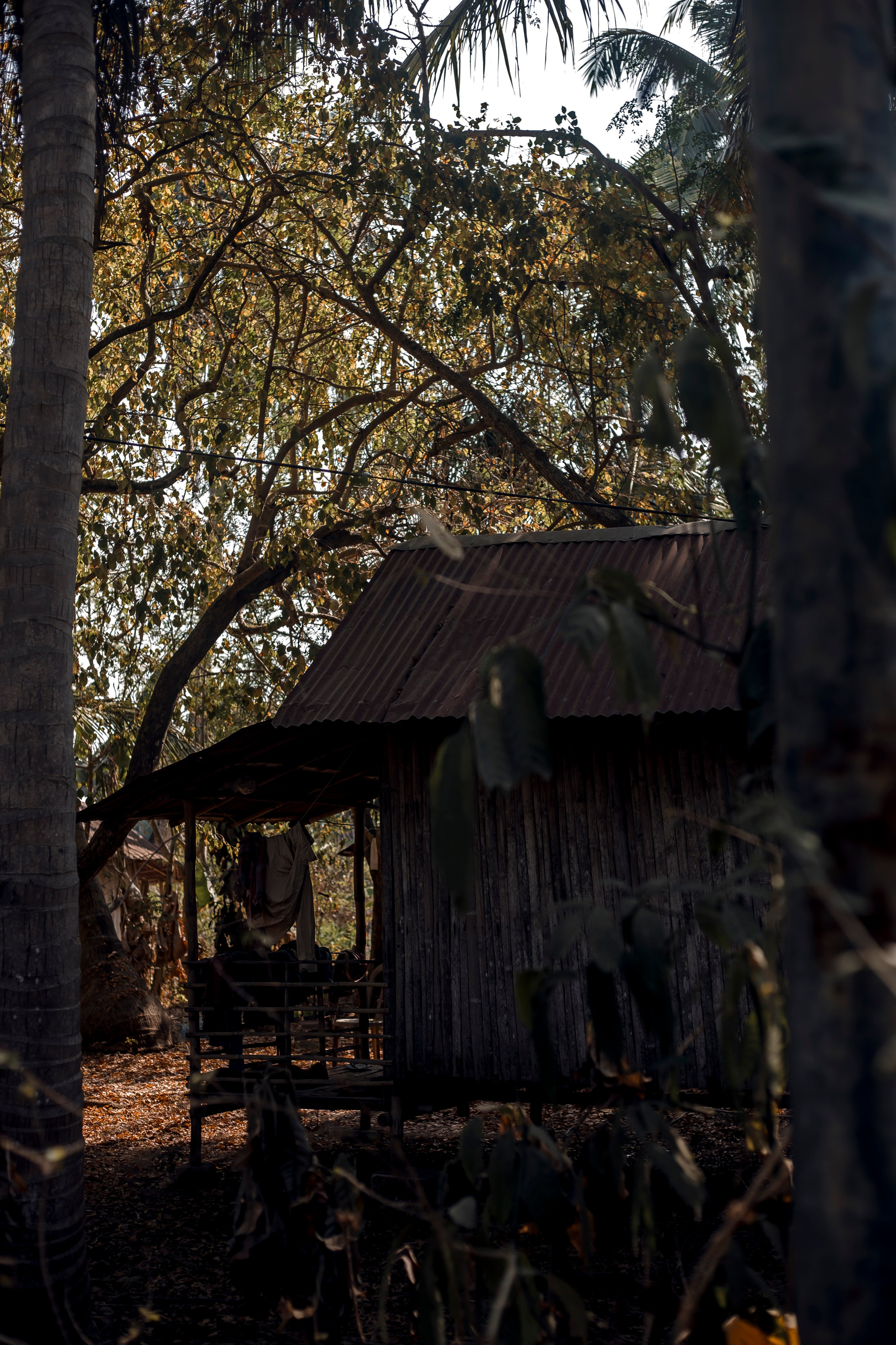 Andaman Islands, Part2. Art Photographer