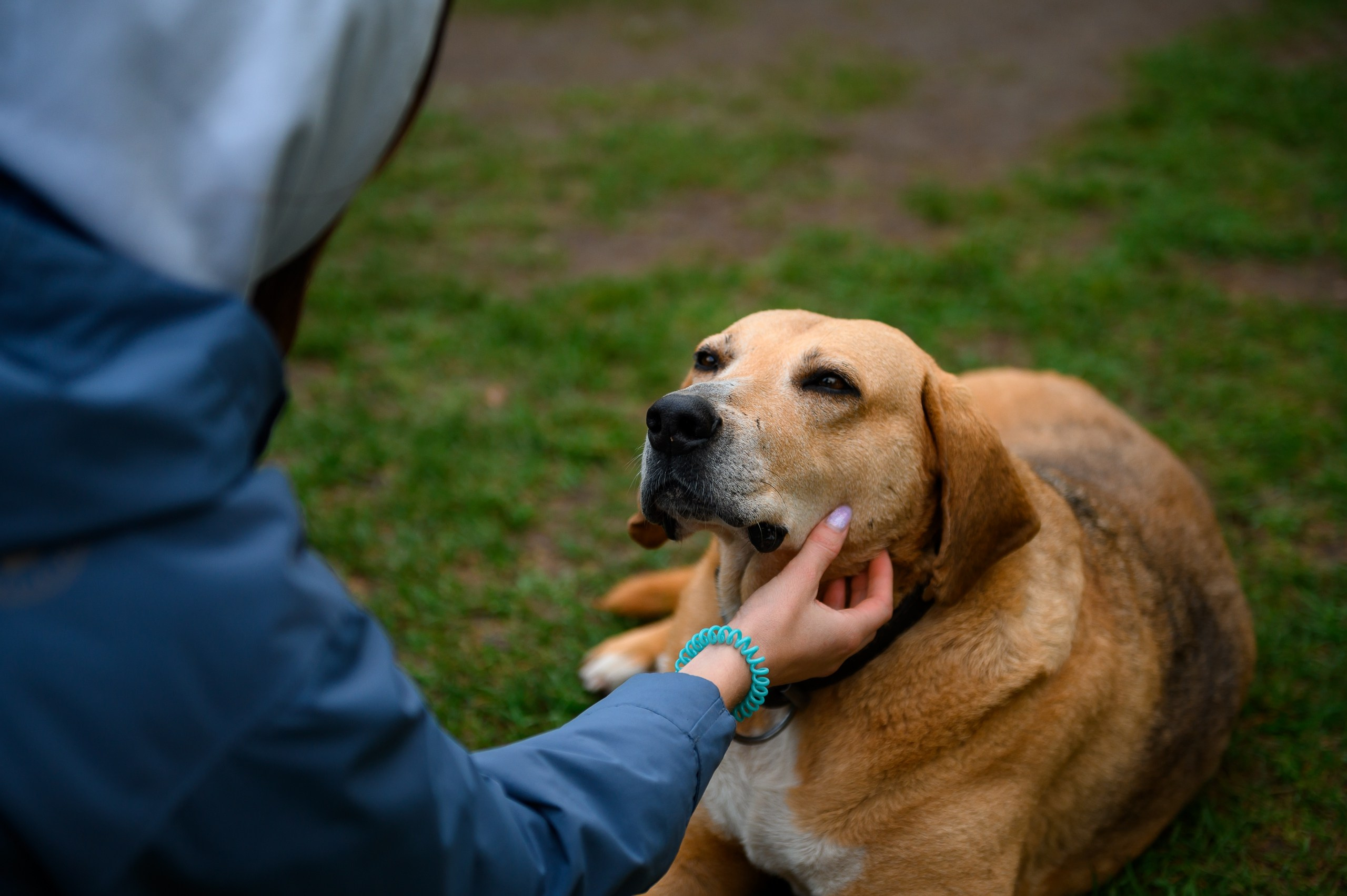 Региональный молодежный туристический форум «Край Героев». Репортажный фотограф в Кирове Александр Лутошкин