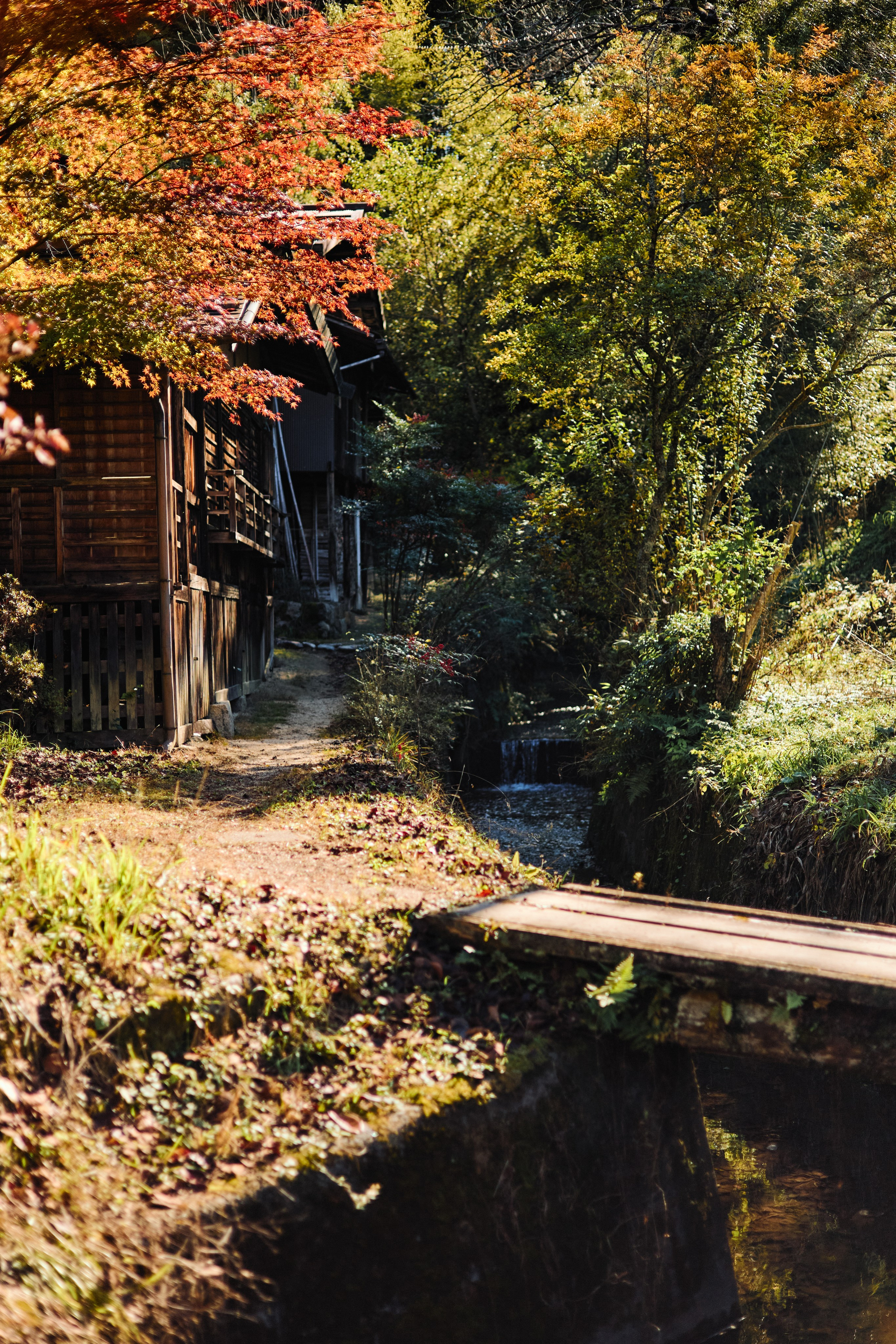 Япония. Профессиональный Фотограф во Владимире, в Москве и в Суздале — Полина Романычева
