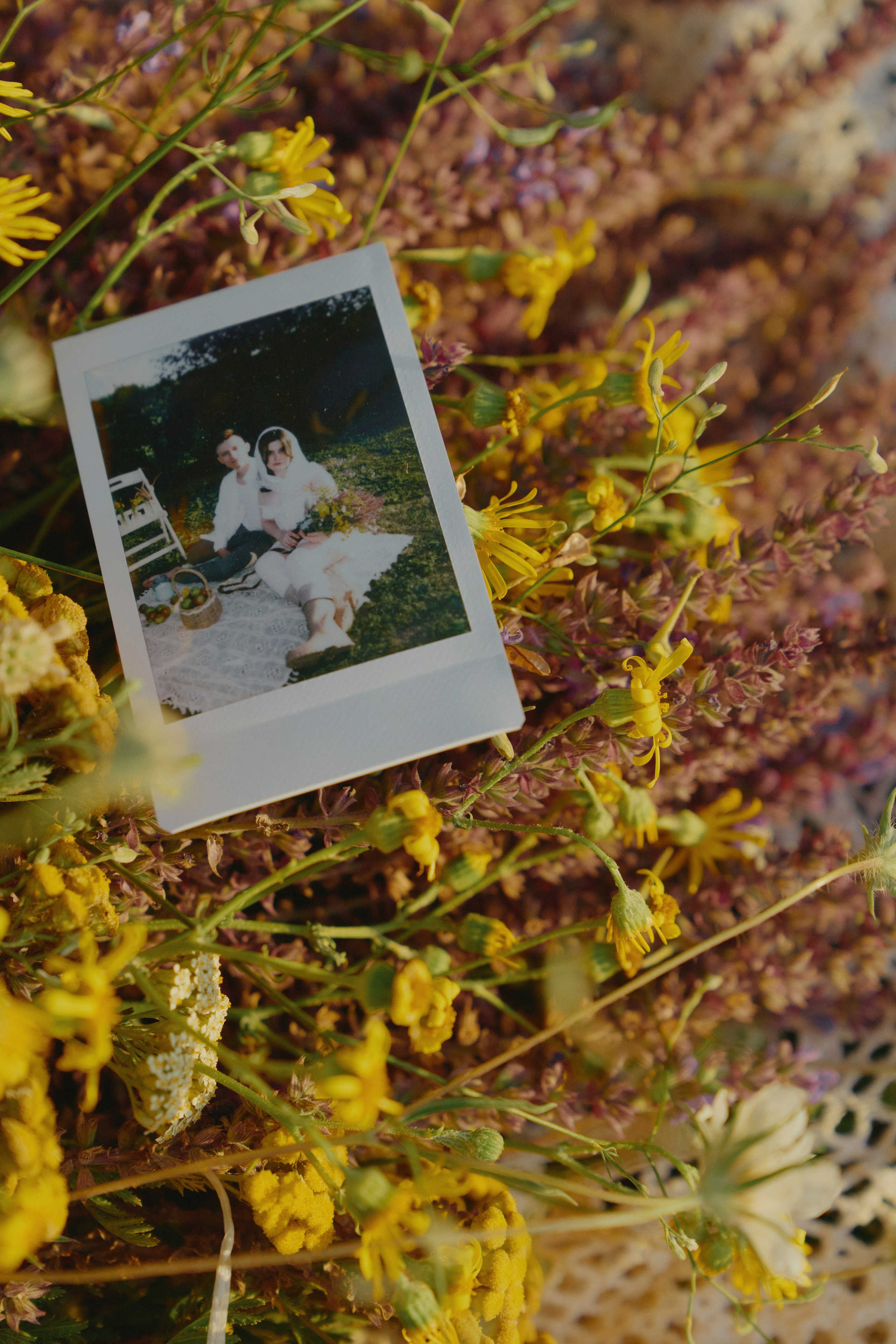 Сountry love. Свадебный фотограф в Ростовe-на-Дону Анастасия Прутова