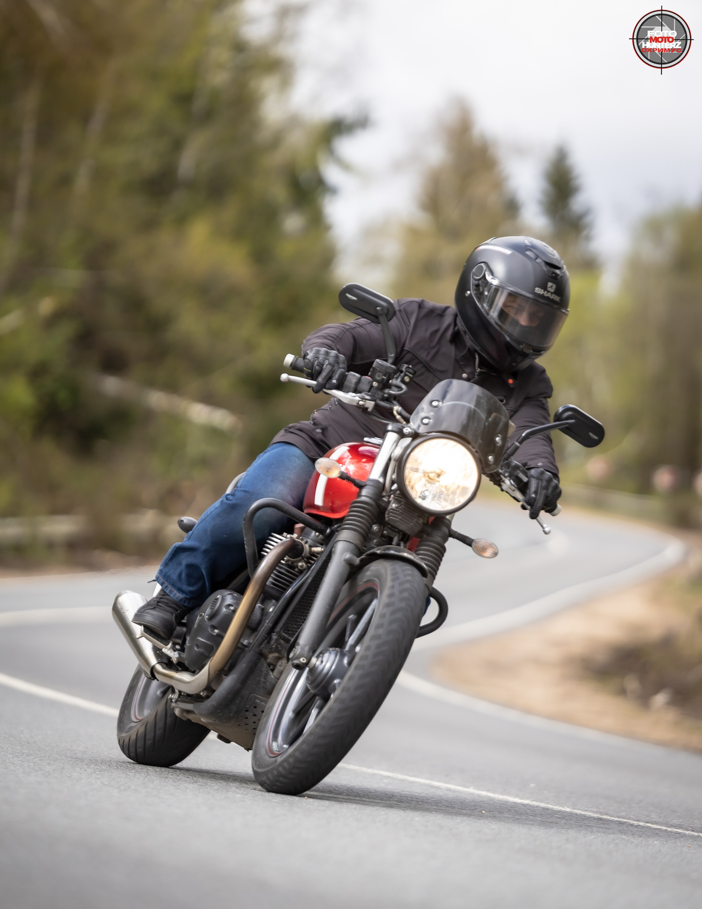 Первое Сафари в 2025 г. на Рогачевском ш. Фотограф Владимир Охрименко