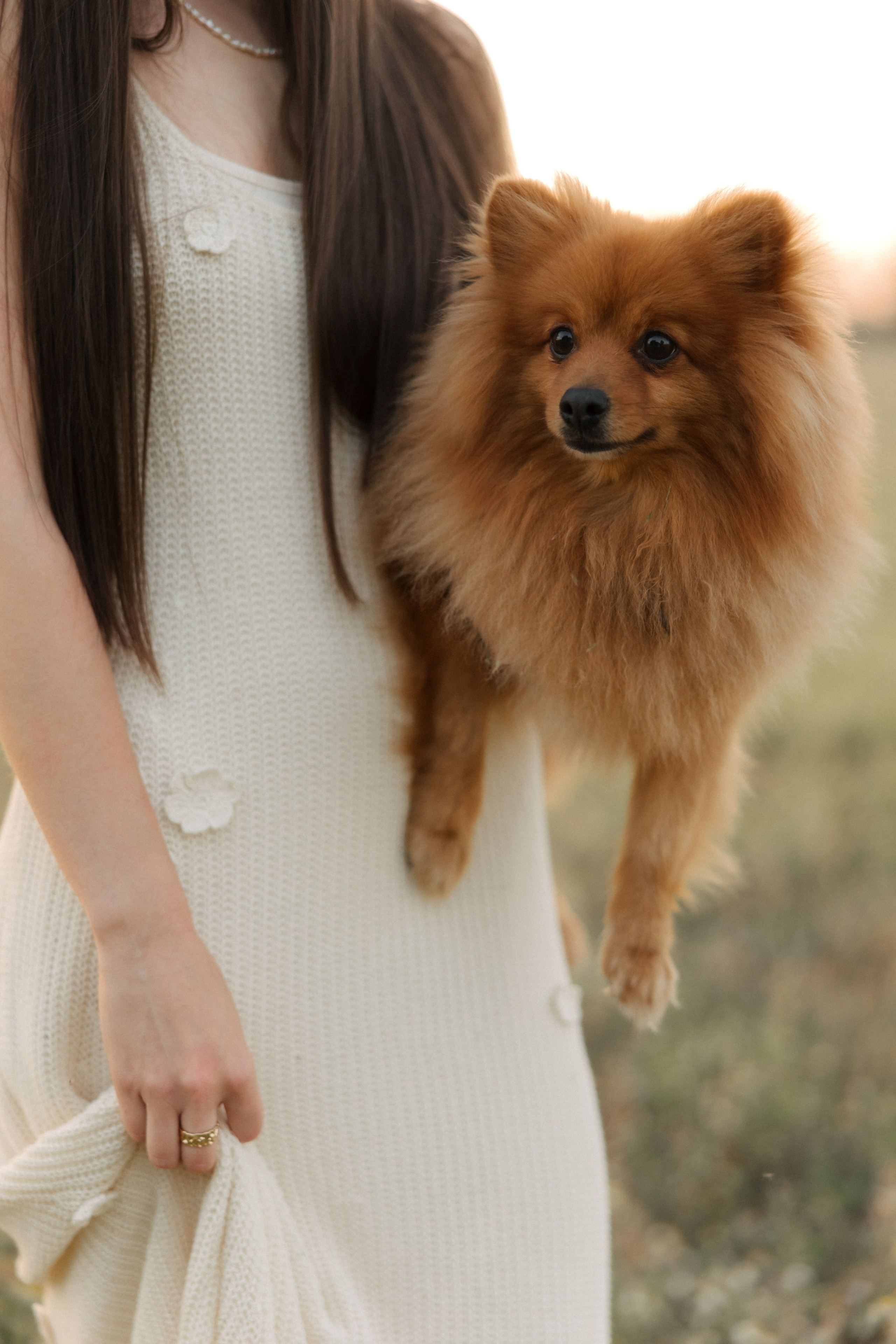Ромашки. Свадебный и семейный фотограф Юлия Сафронова