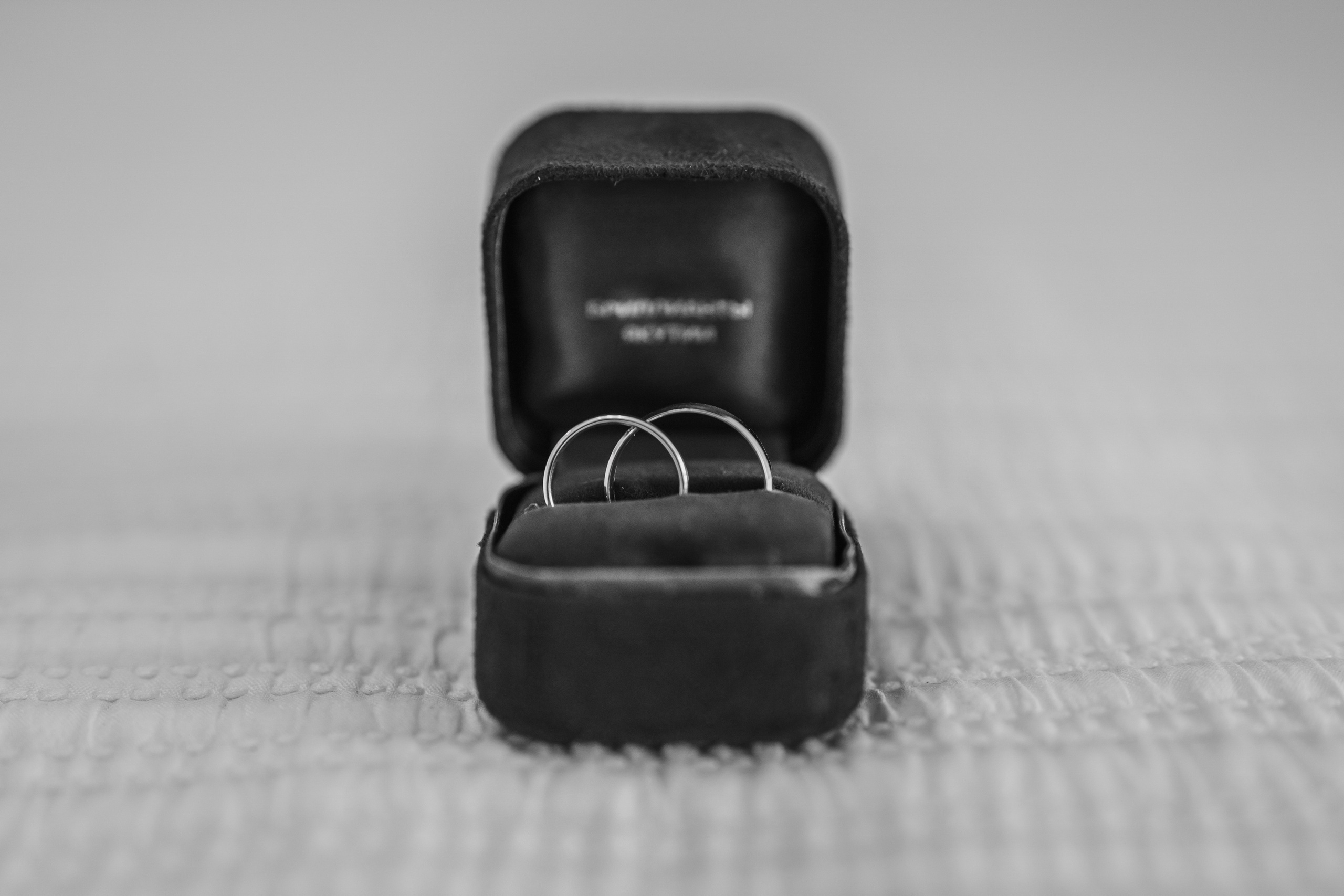 Стефани и Дмитрий. Алексей Рудович Видеооператор в Москве