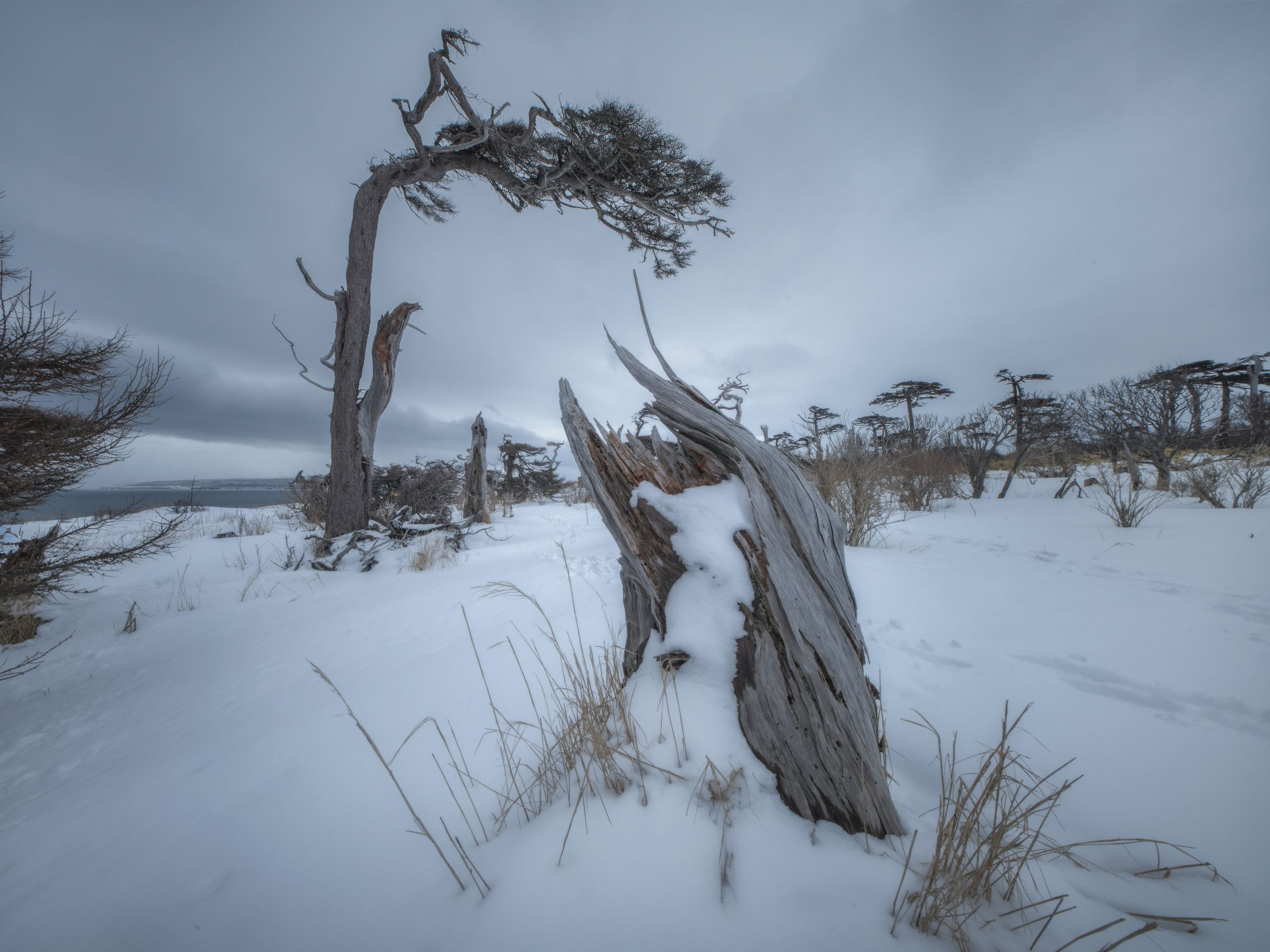Фотогалерея Зимние Курилы