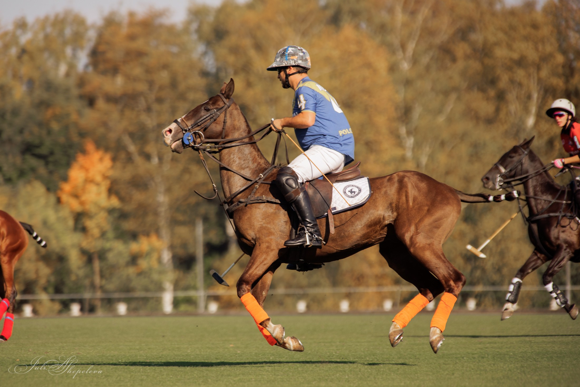 Осенний кубок по конному поло. Детская Конная фотография в Москве Юлия Шепелева
