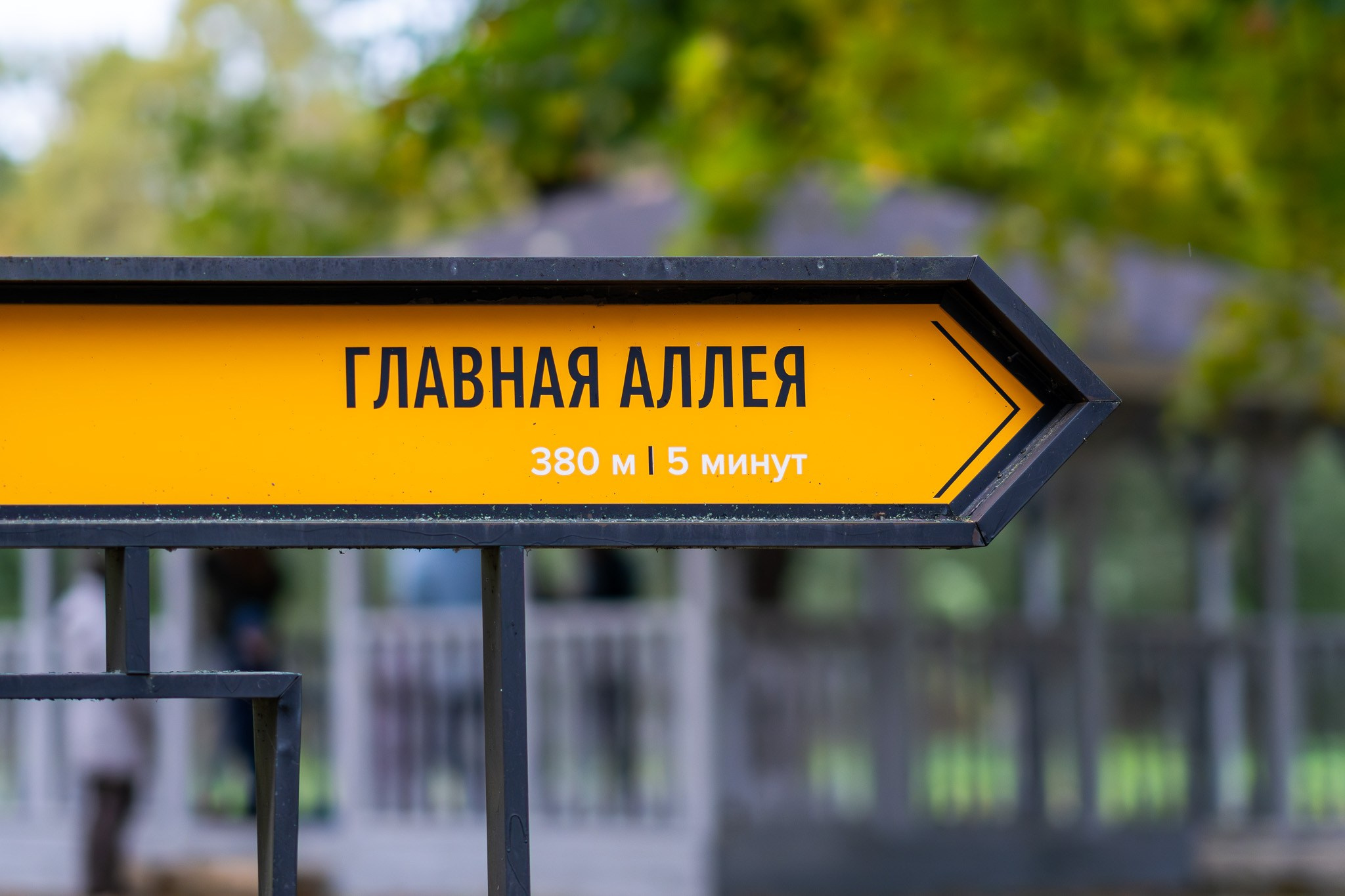 Указатель "Главная аллея" в Горках Ленинских