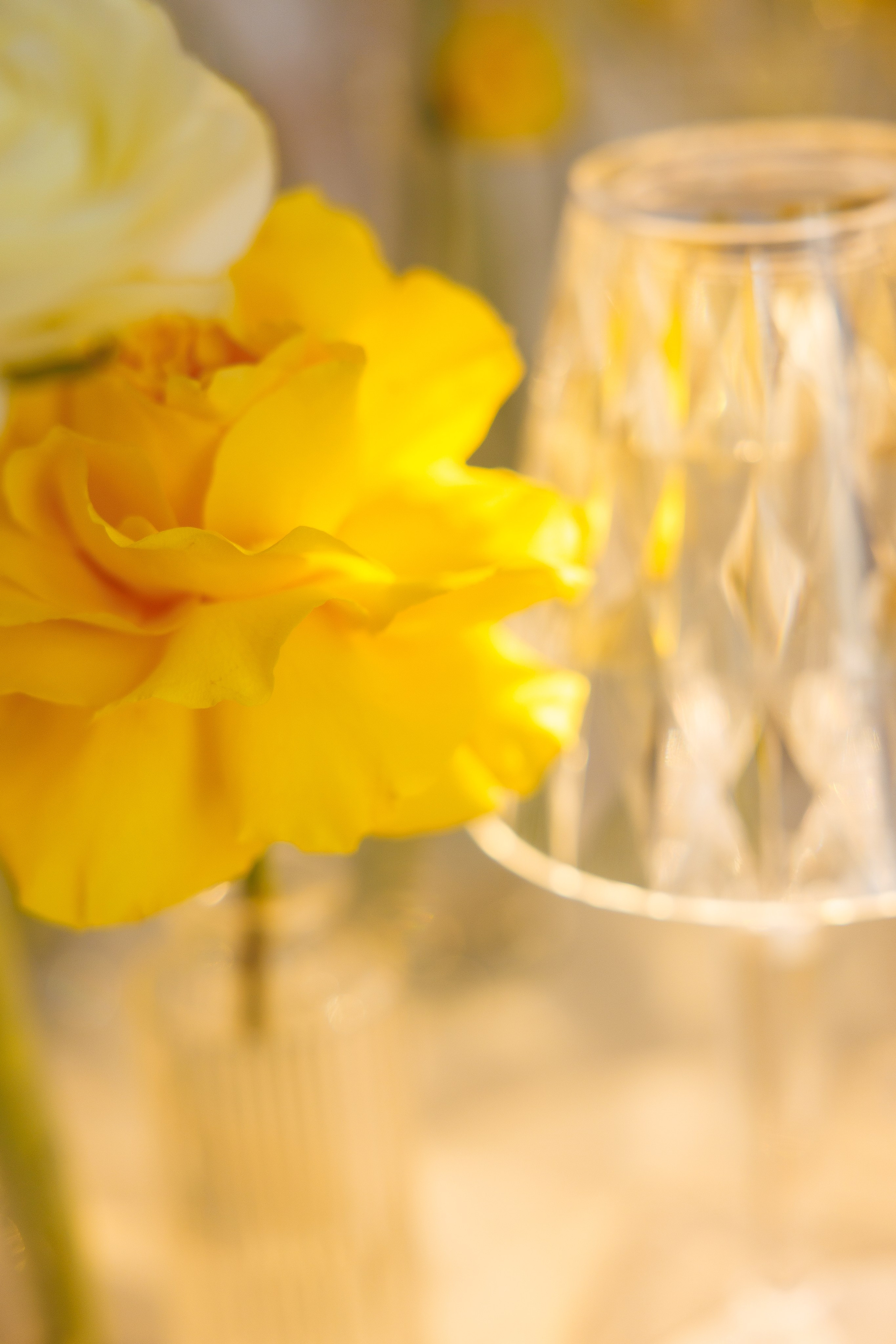 Камерная свадьба: весеннее настроение. Свадебный и семейный фотограф в Москве Красинская Мария