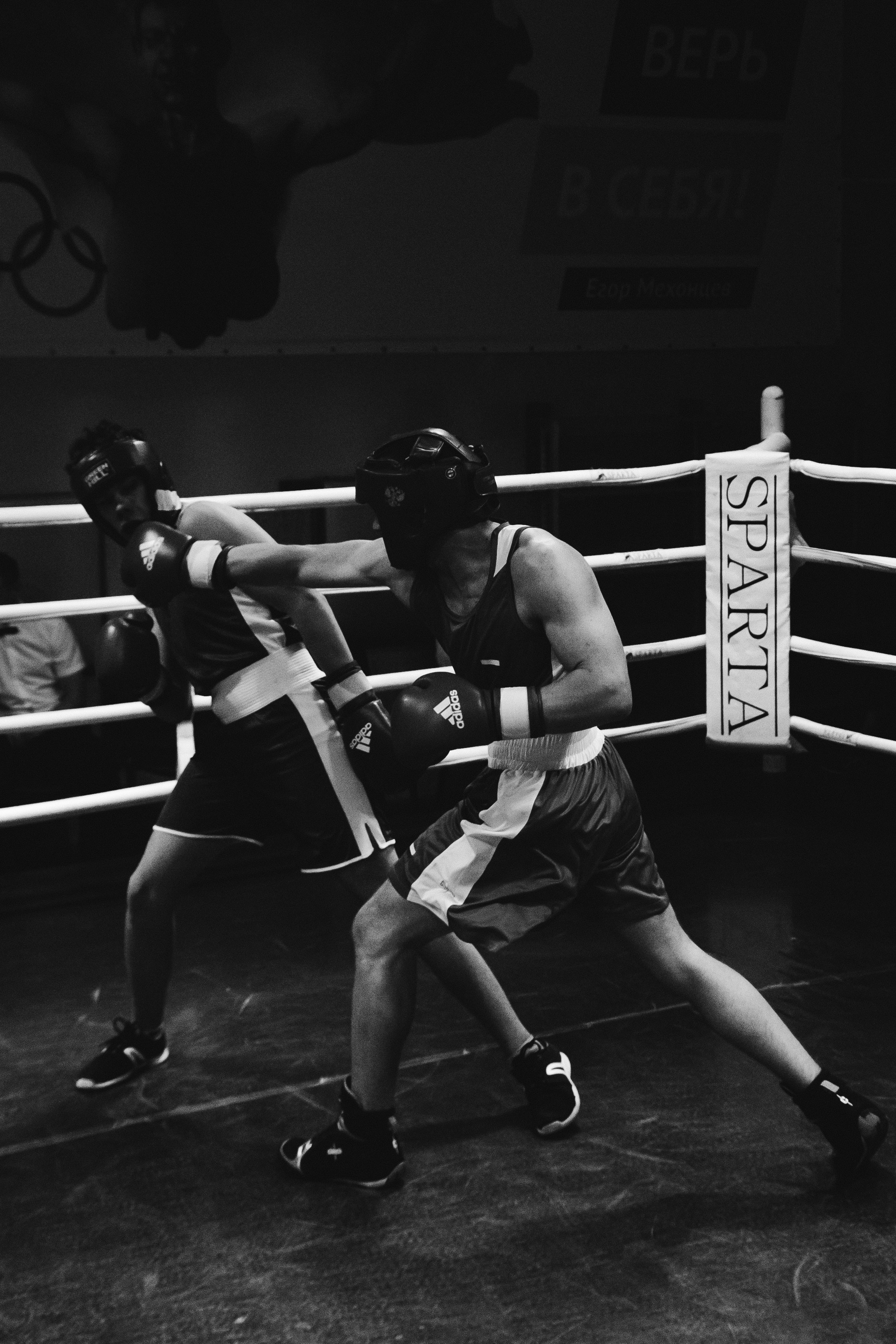 Бокс — РЗН — 26.04.2025. Фотограф в Рязани — Кузнецов Михаил