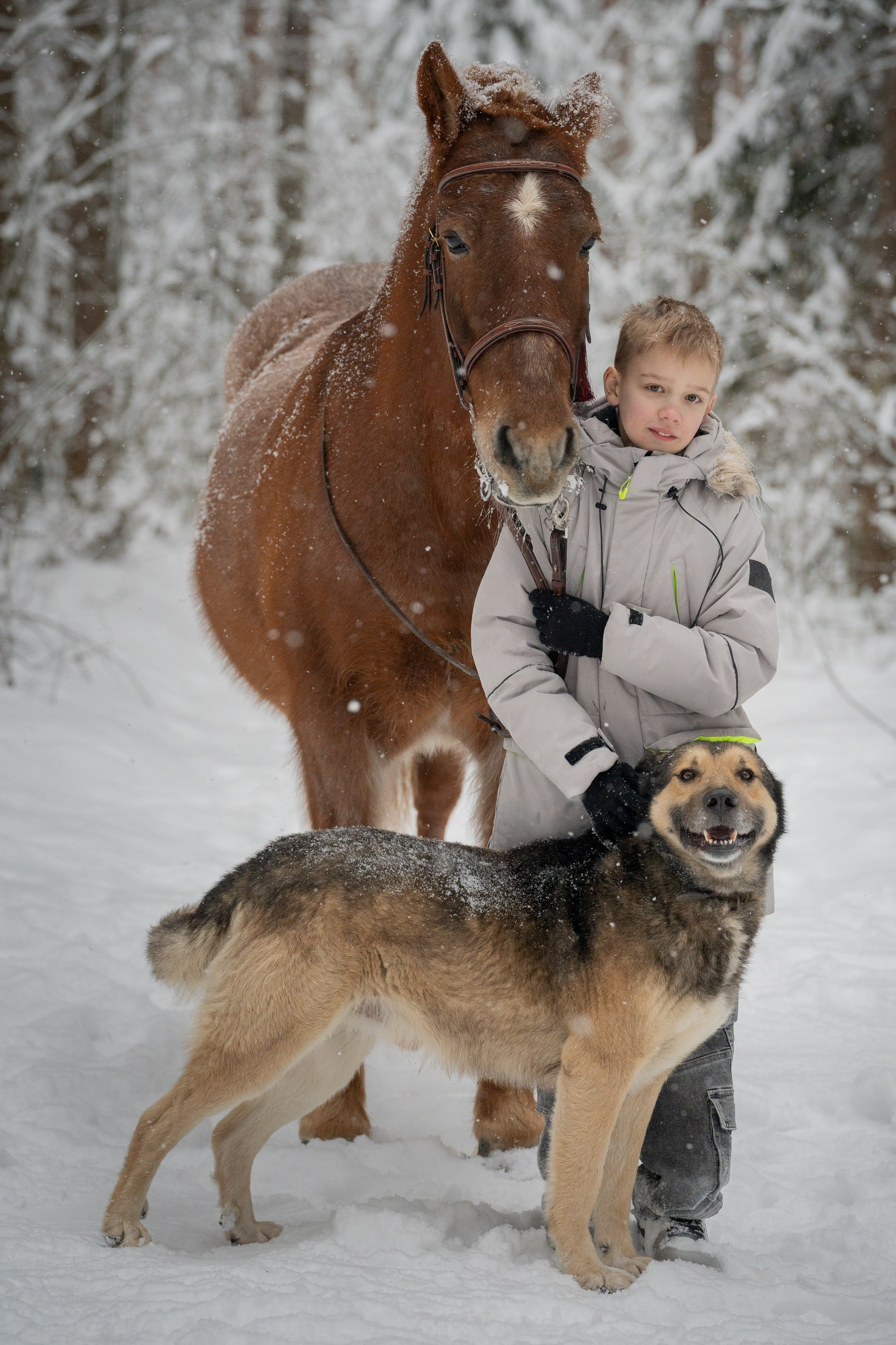 Зимняя фотосессия в лесу. Портретный фотограф Олеся Владимирова в Москве