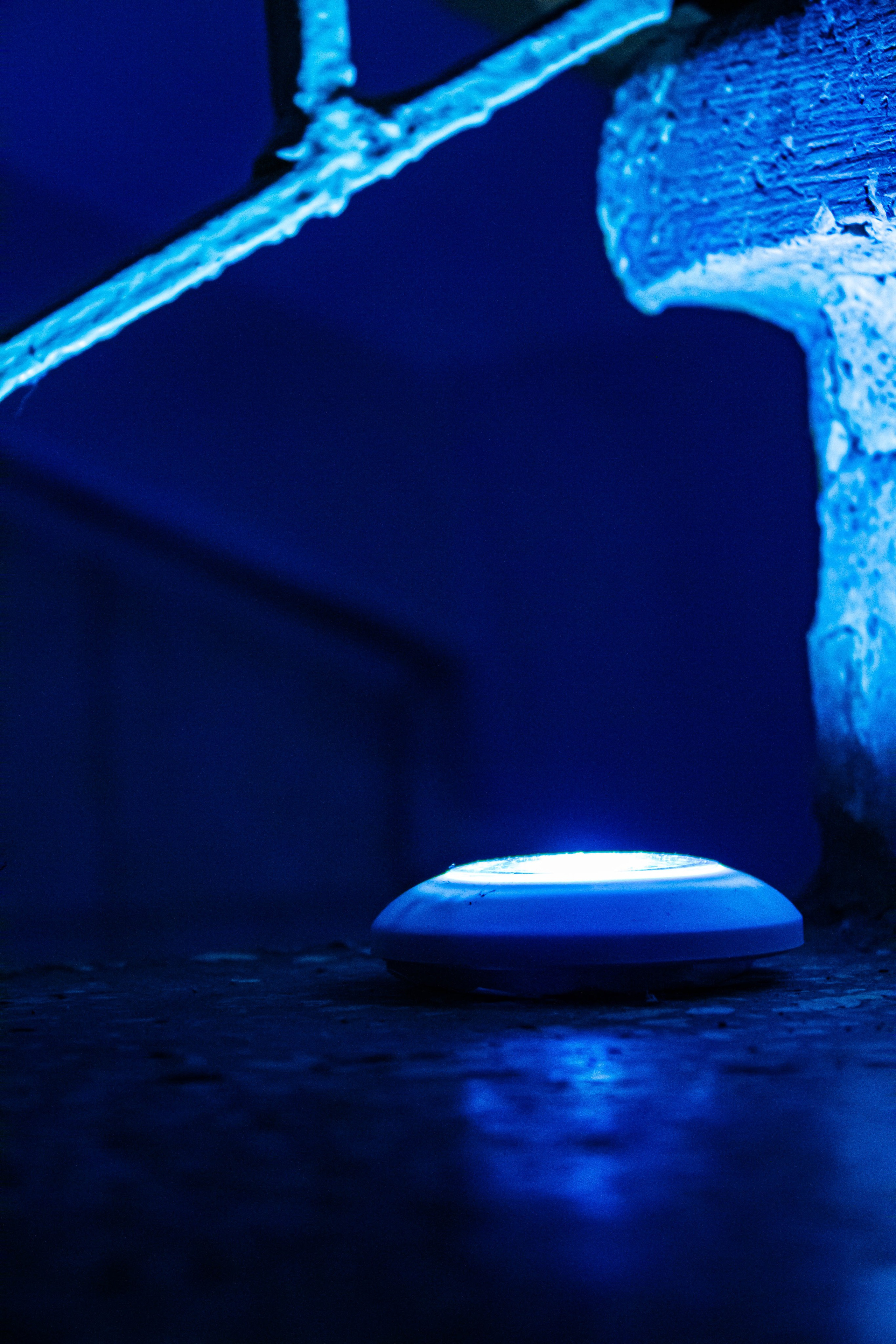 НЕ ТЕМНО_ЛИЦЕЙ им. С. П. ДЯГИЛЕВА 2025