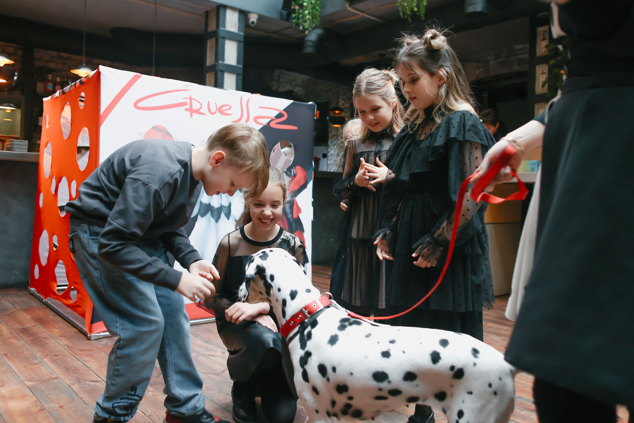 Crualle. Главная