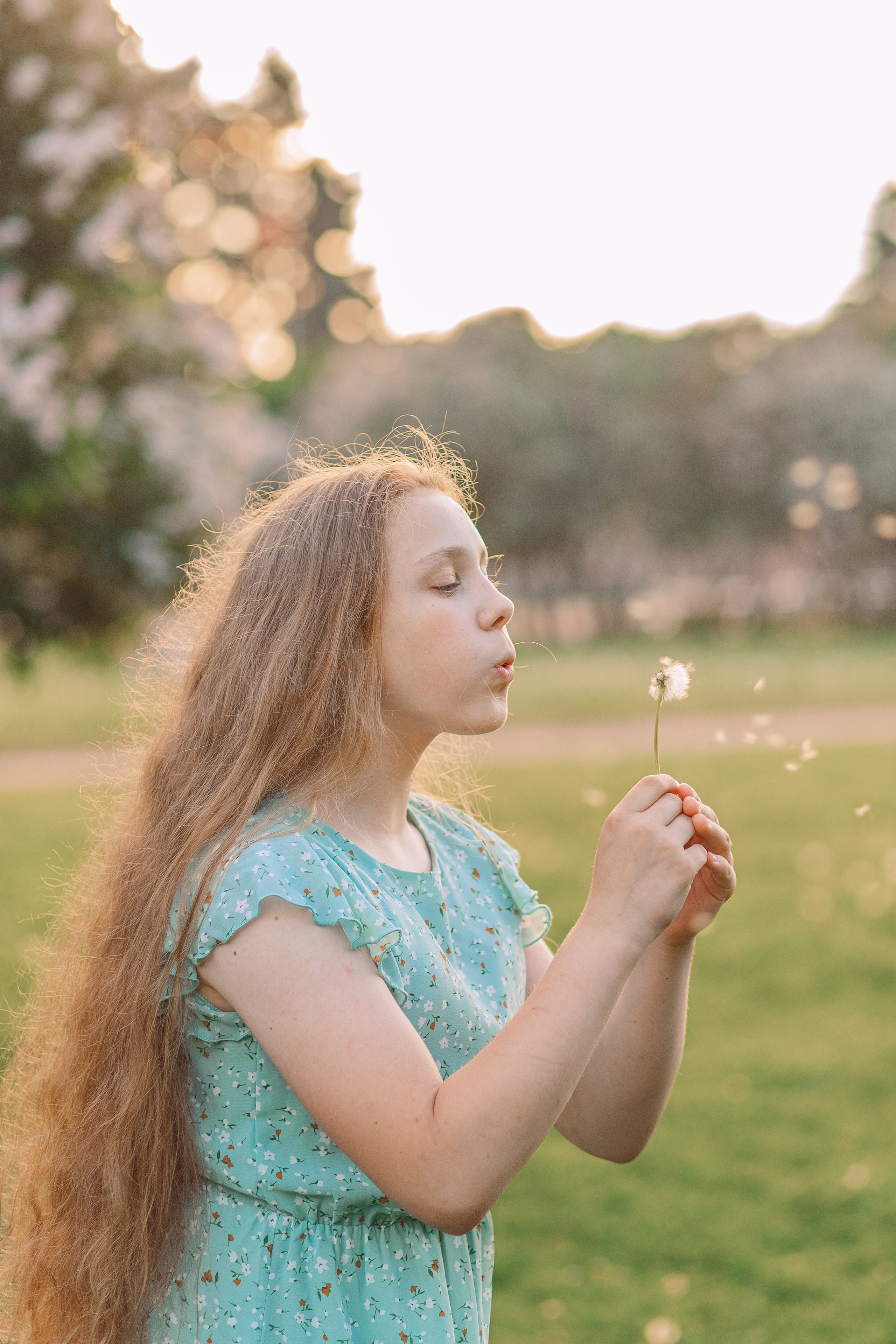 Летняя фотосессия с домашними любимцами в парке. Фотограф в Санкт-Петербурге, Анна Скворцова