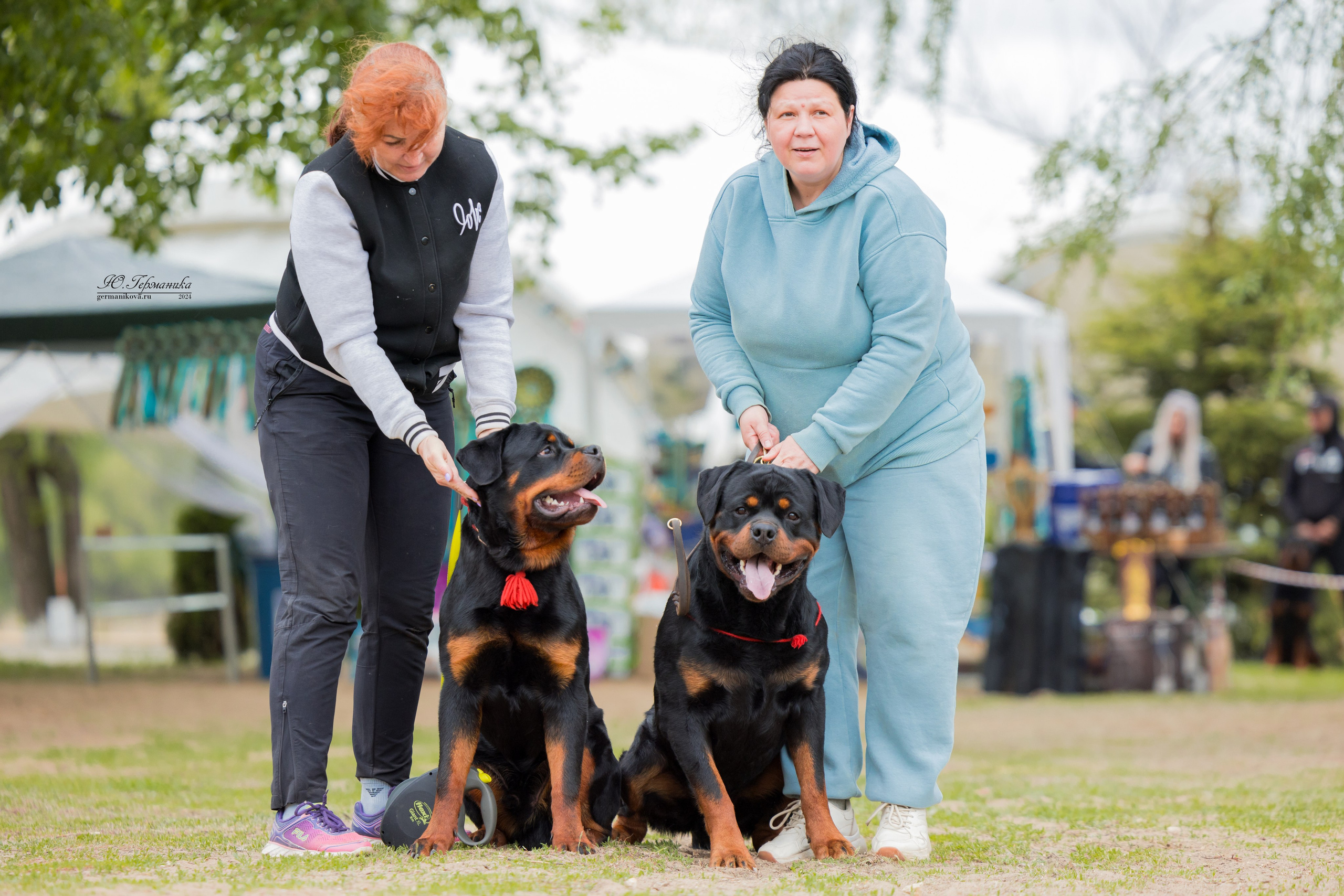 Саратов 2 х моно ротвейлеров 28-29.04.2024. Фотограф-анималист Юлия Германика