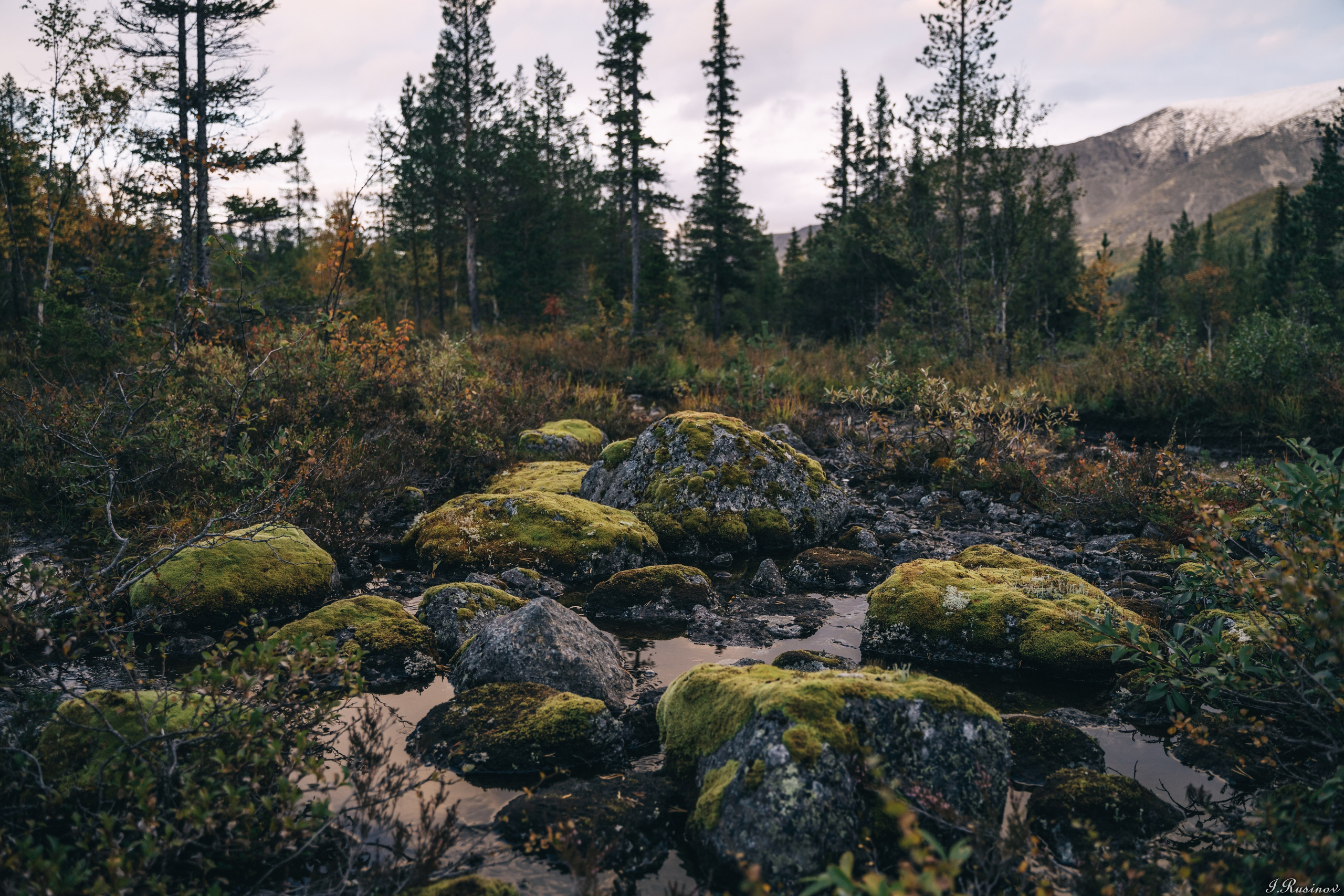 ХИБИНЫ 2021 г. Event фотограф Степанова Александра