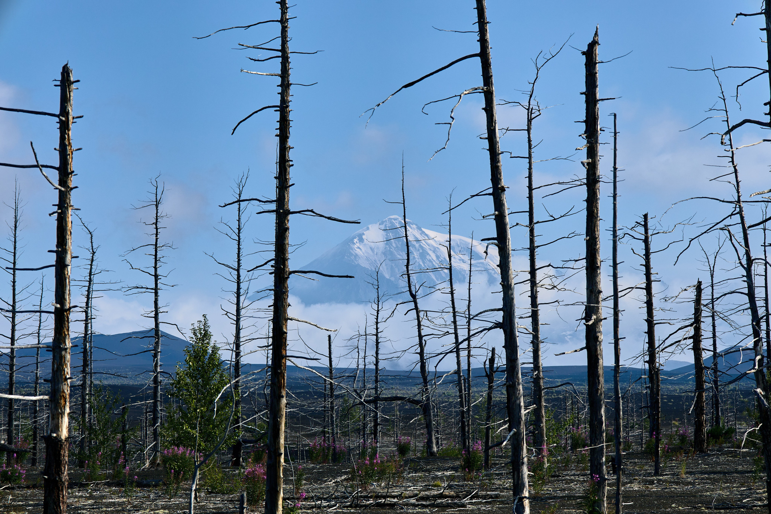 Камчатка. Travel-фотограф Ирина Милинцова