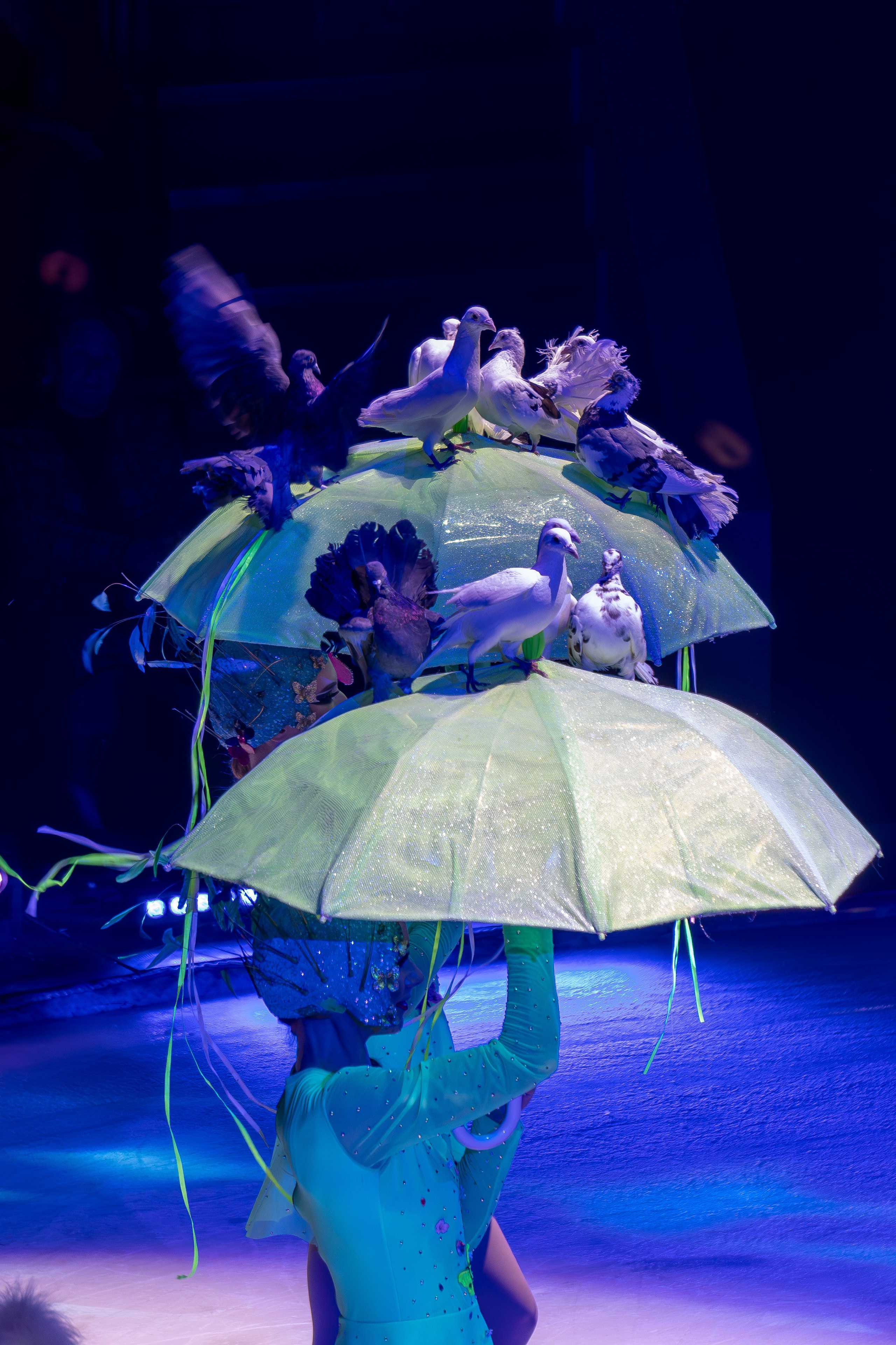 Цирк на льду «Айсберг» в Луганске. Фотограф в РФ и ЛНР Юлия Федосеева