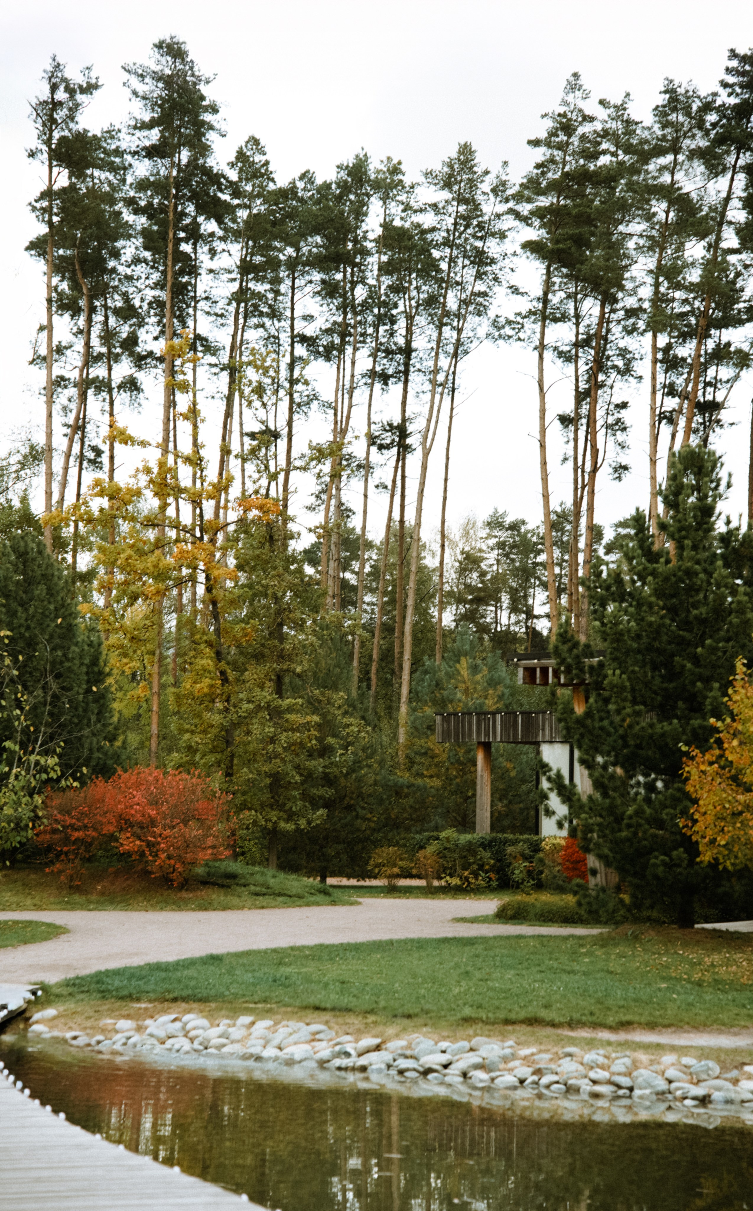 Осень 2025. Фотограф из Москвы — DASHA NOVA | Авторская фотография в разных жанрах