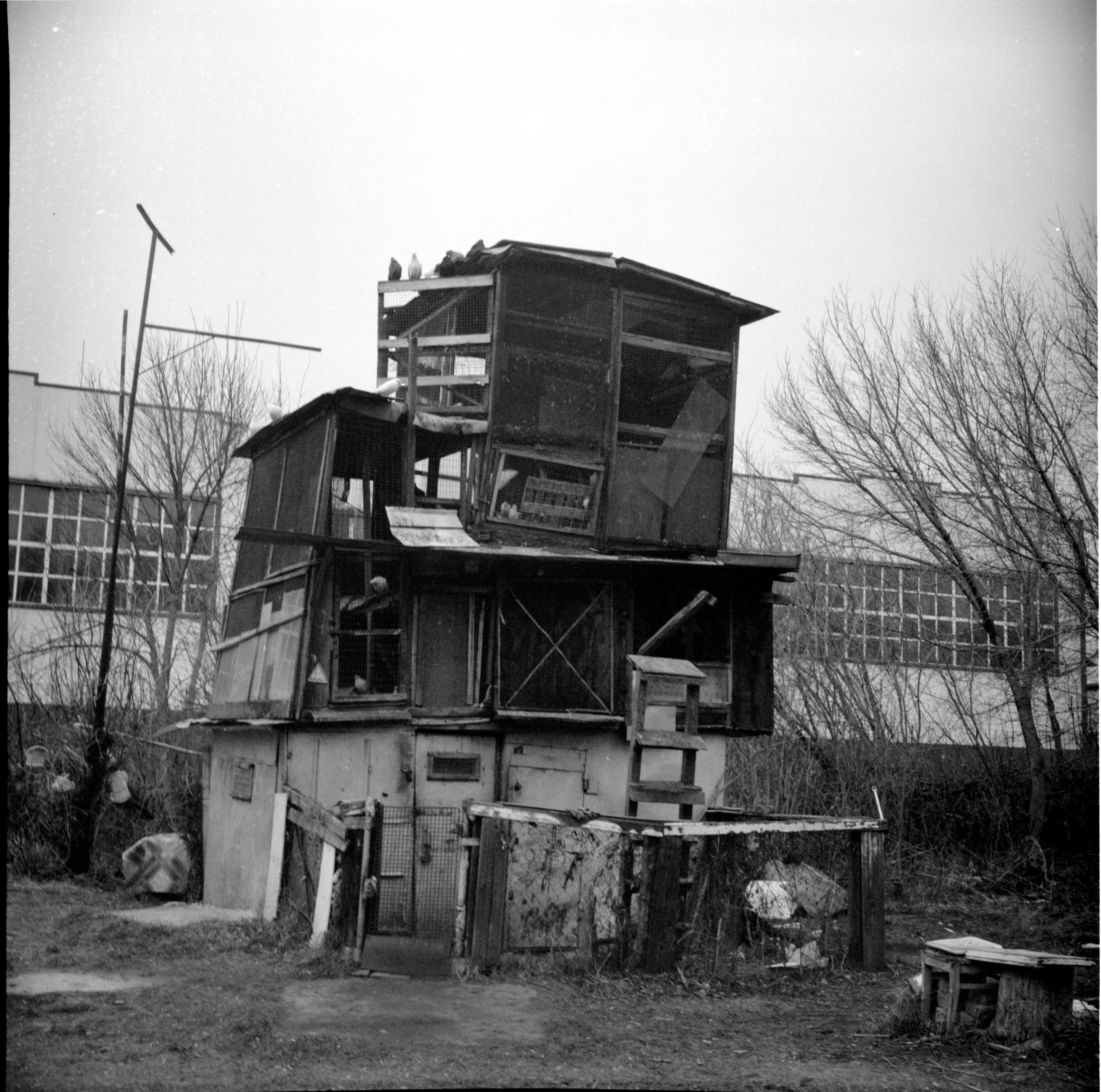 Фотограф Ольга Дурнова