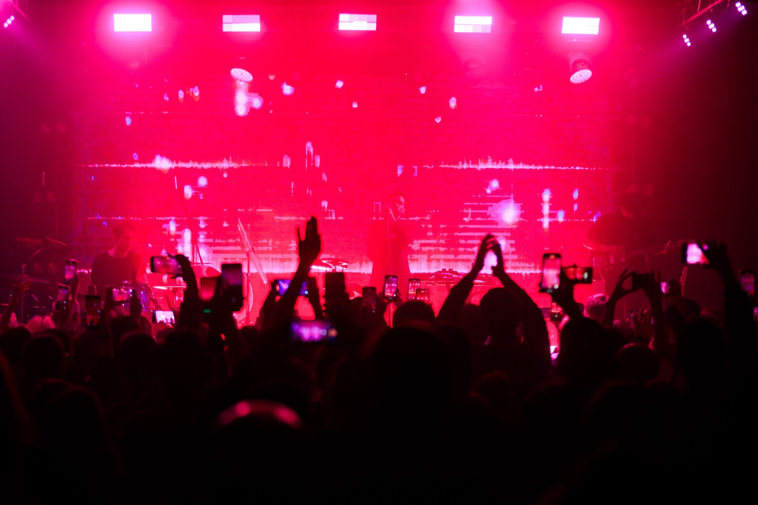 Дельфин. Репортажный фотограф Алексей Пирязев