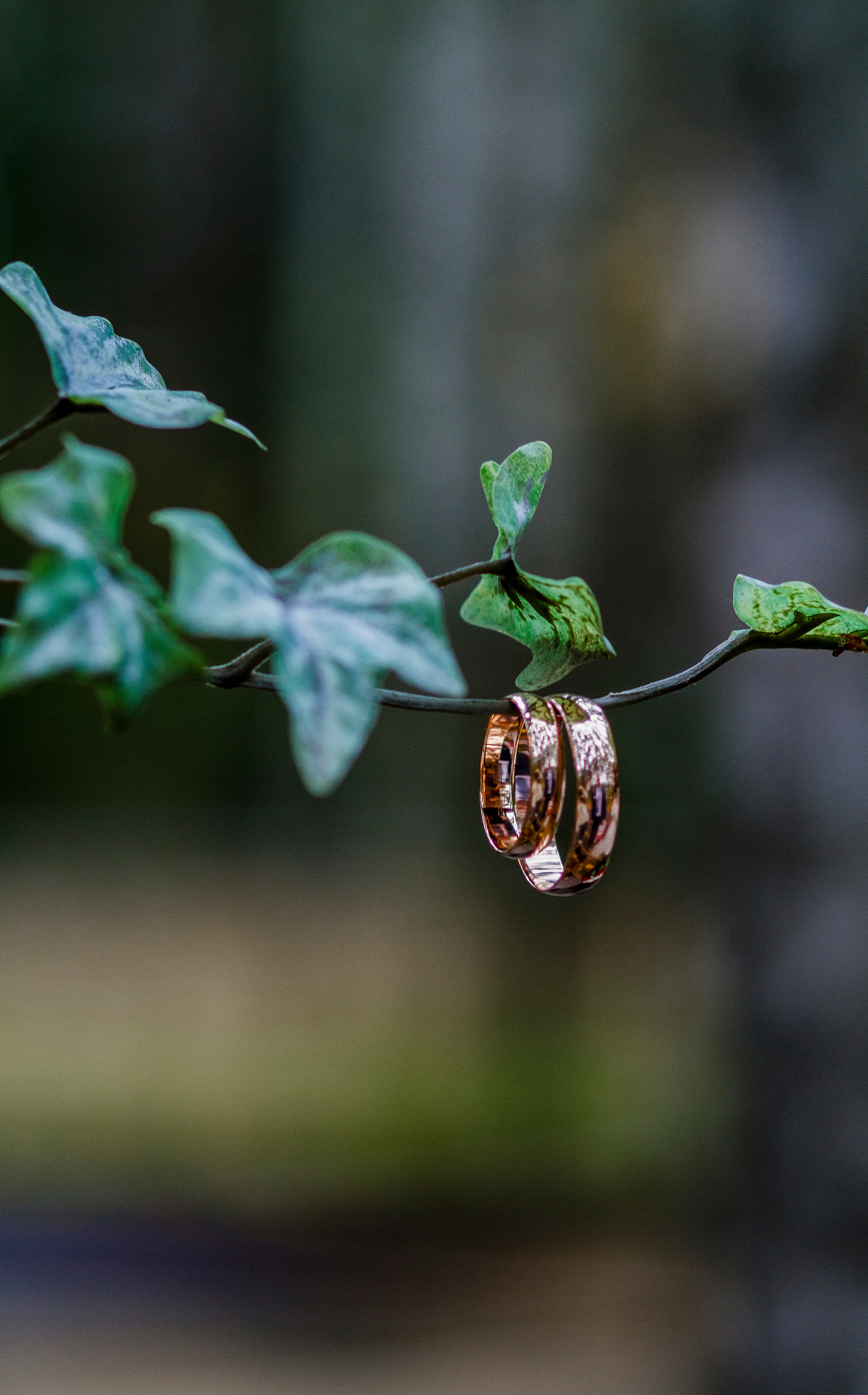 Свадебная съёмка. Фотограф Виктория Бурова