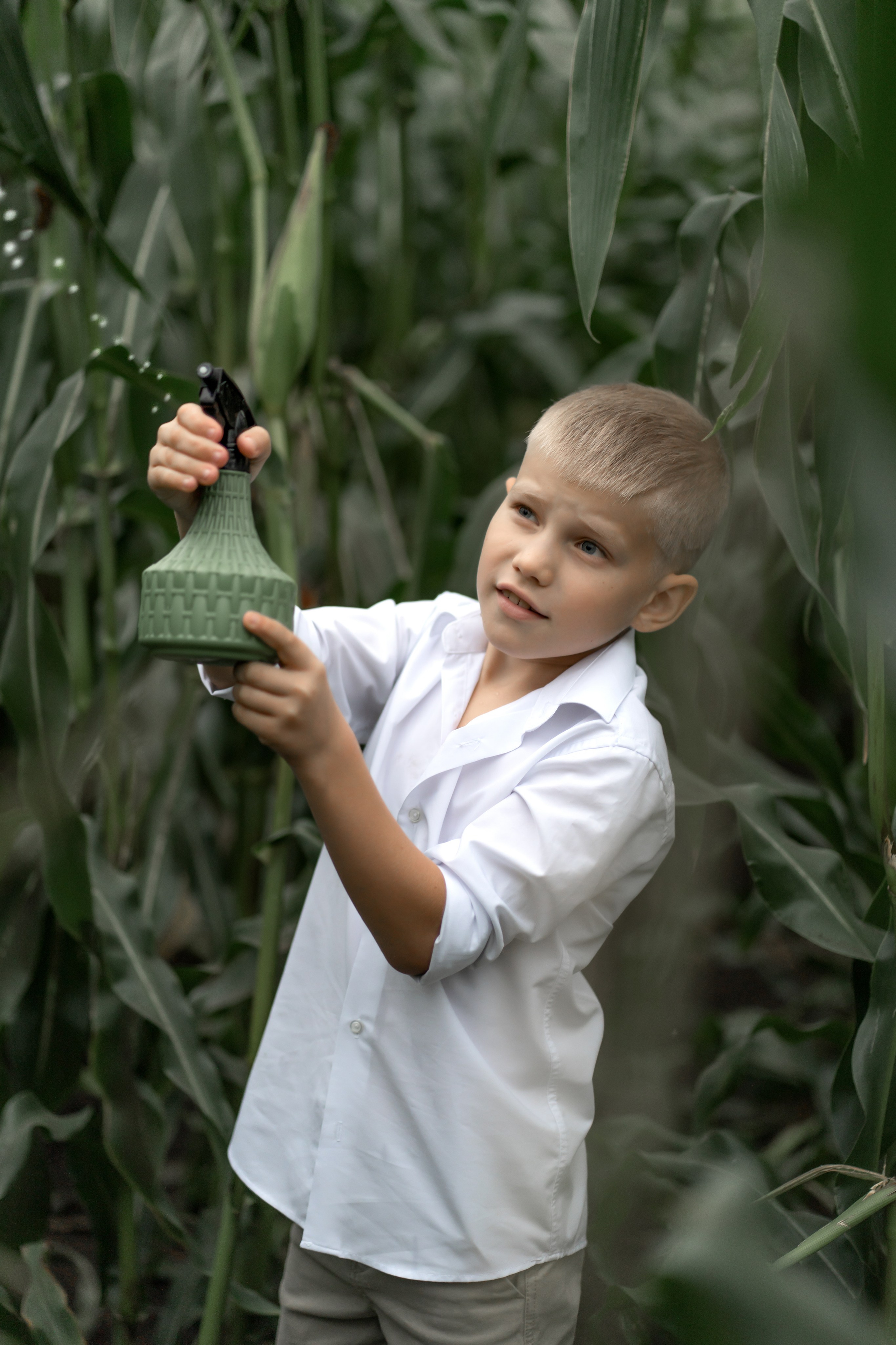 Прогулка в кукурузе. Фотограф в Красноярске. Юлия Чаушанская